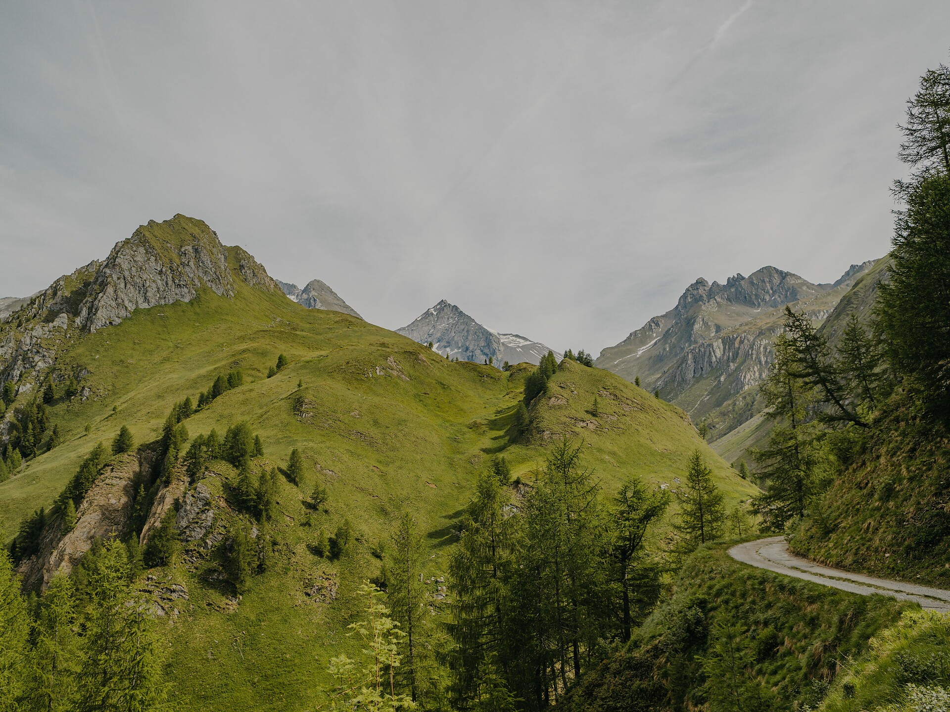 Verso l'alto: Tour in bici alla Malga Gampiel e Kröllhütte - Bressanone e dintorni - #1 - suedtirol.info