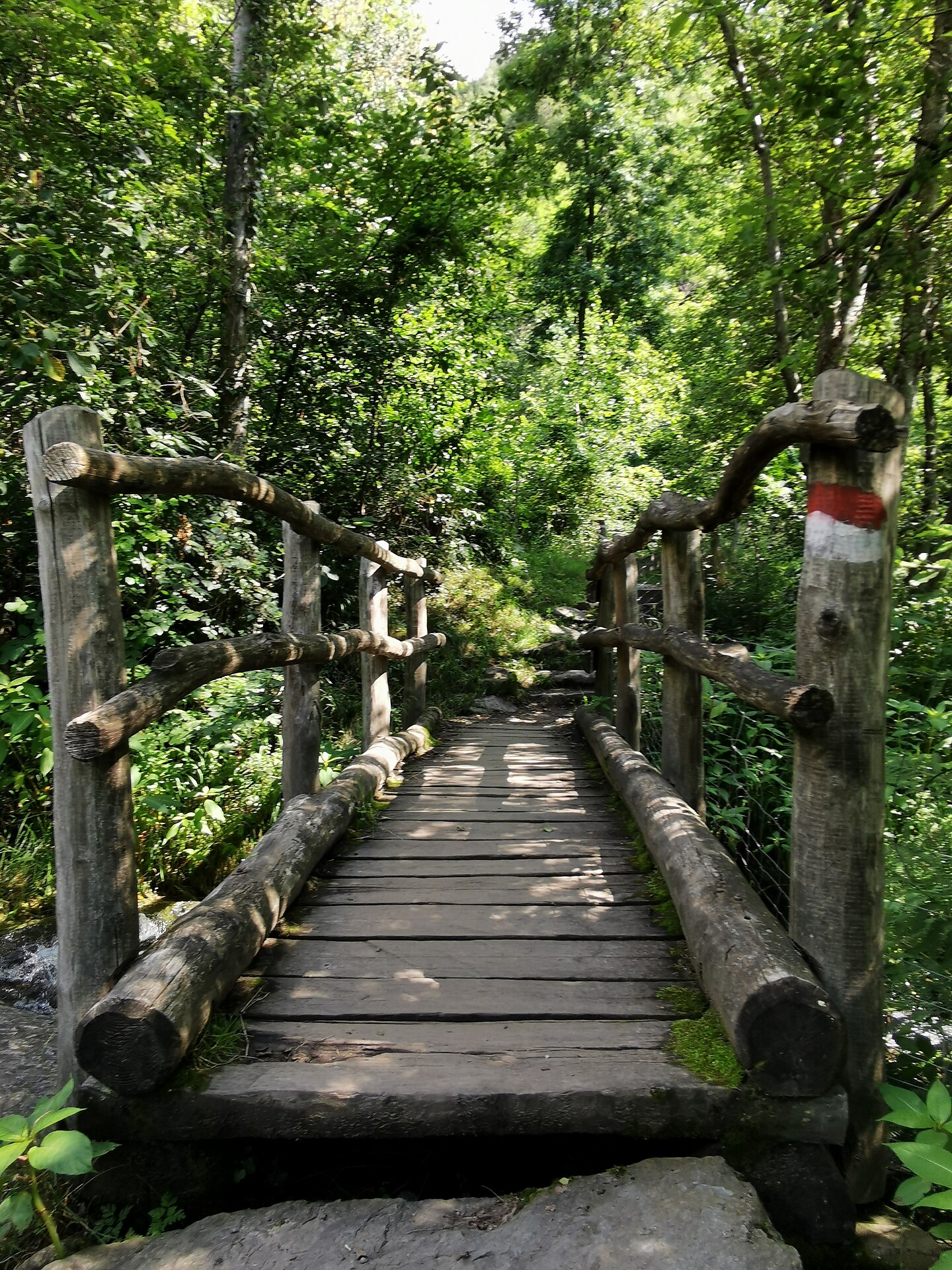 Ponte sul Salten
