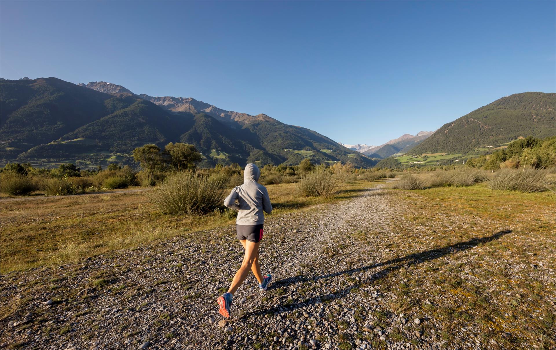 Pineta Run Prato allo Stelvio 1 suedtirol.info