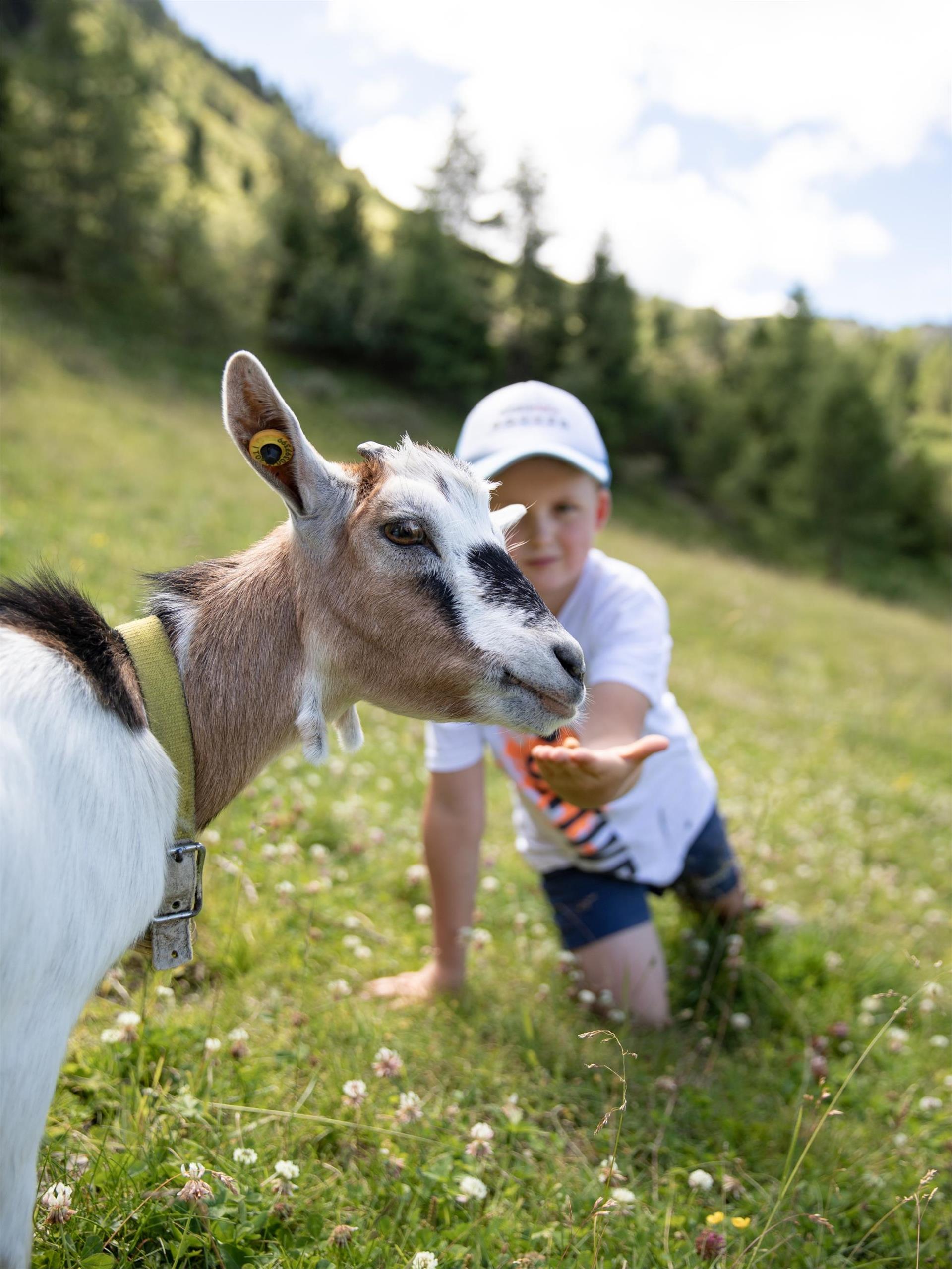 Giro panoramico Speikboden Campo Tures 4 suedtirol.info