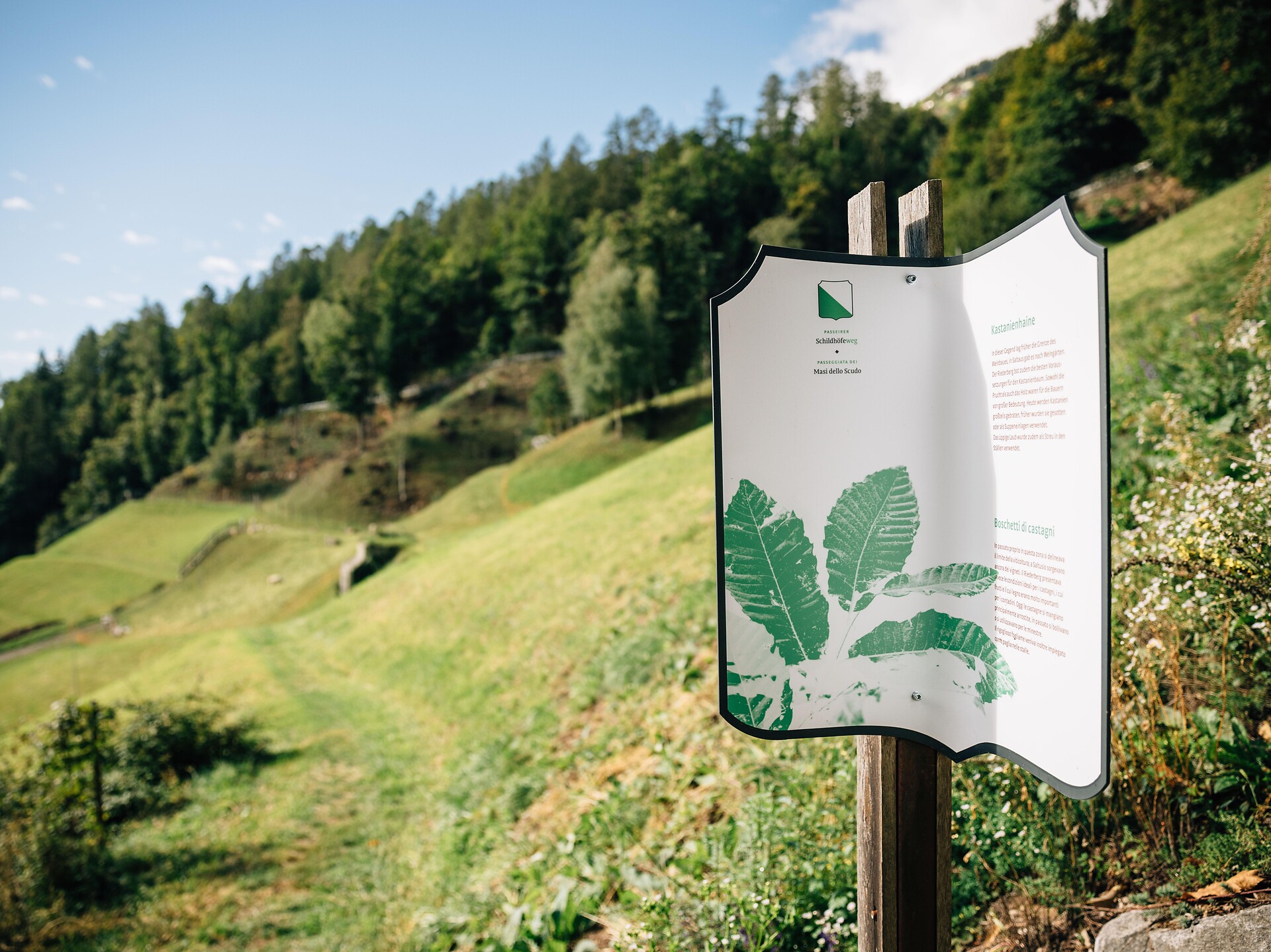 Passeggiata dei masi dello scudo a Saltusio - Merano e dintorni - #1 - suedtirol.info