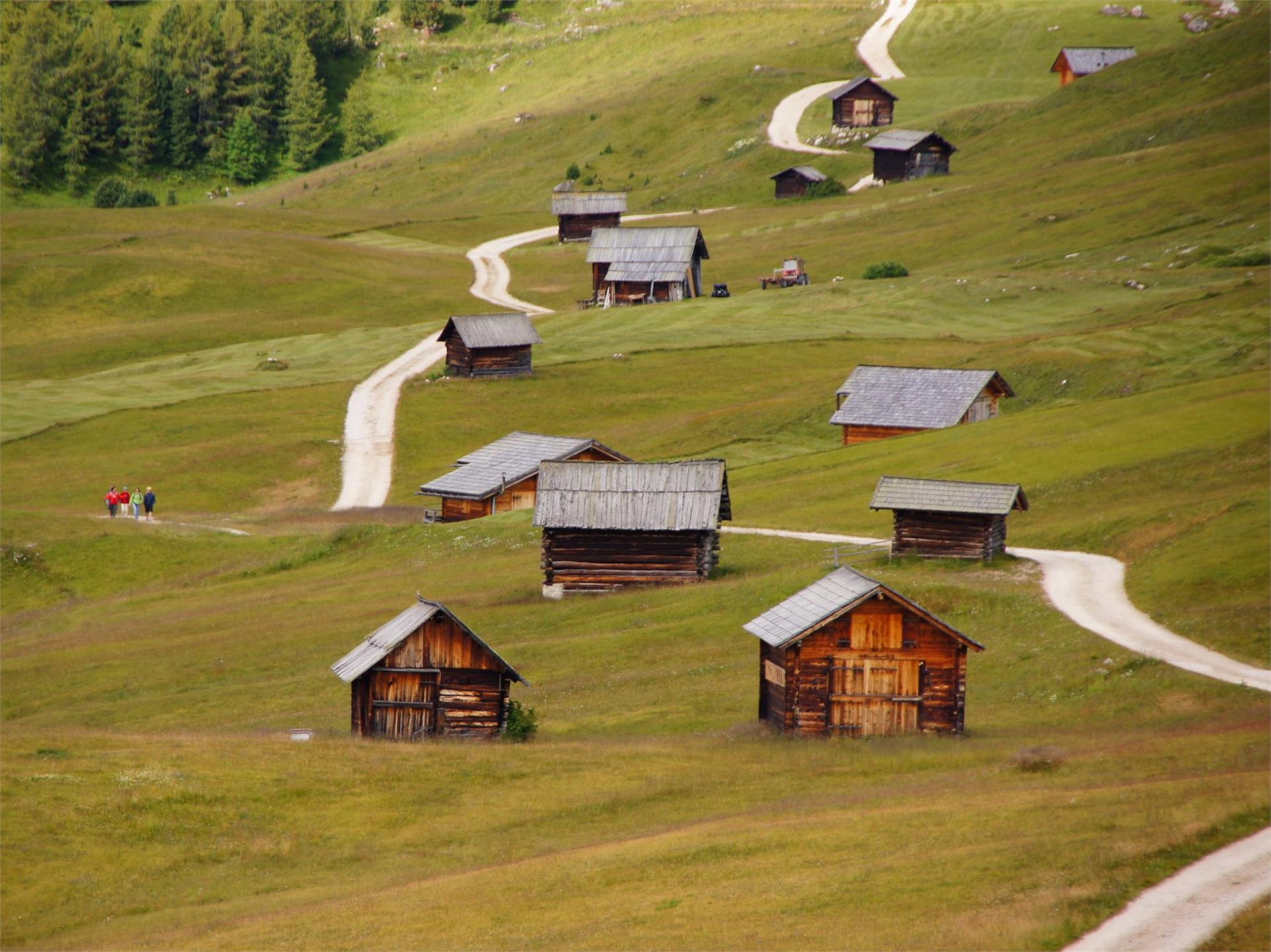 Giro intorno al Pütia San Martino 2 suedtirol.info