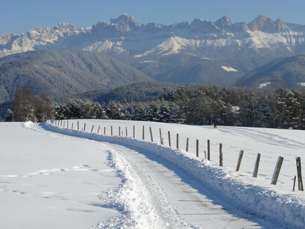Panoramic Winter Hike Deutschnofen/Nova Ponente 1 suedtirol.info