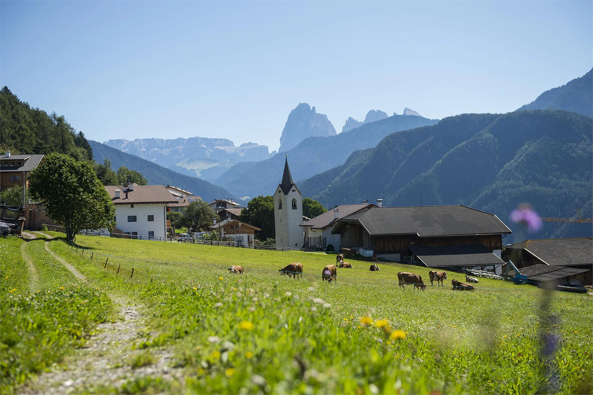 Poststeig Lajen 4 suedtirol.info
