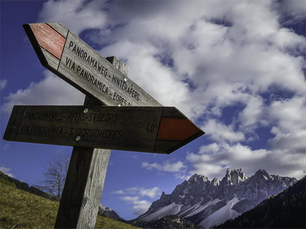 Panoramic trail on the sunny slopes of the aferer mountain Brixen/Bressanone 2 suedtirol.info