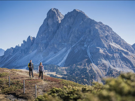 Panoramic trail on the sunny slopes of the aferer mountain Brixen/Bressanone 1 suedtirol.info