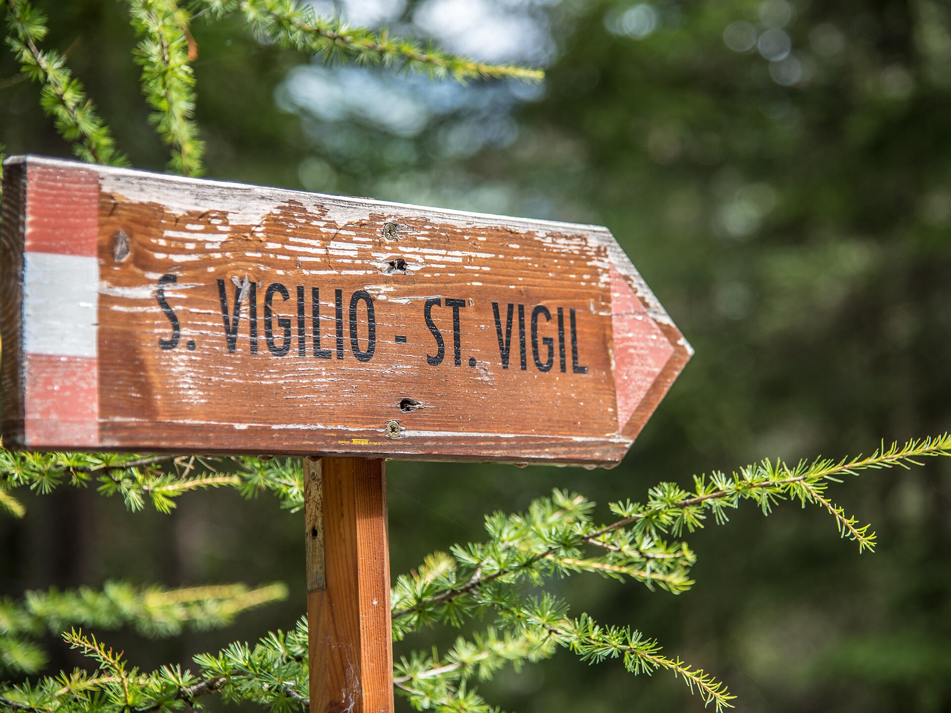 Piz de Plaies > St. Vigil San Vigilio 3 suedtirol.info