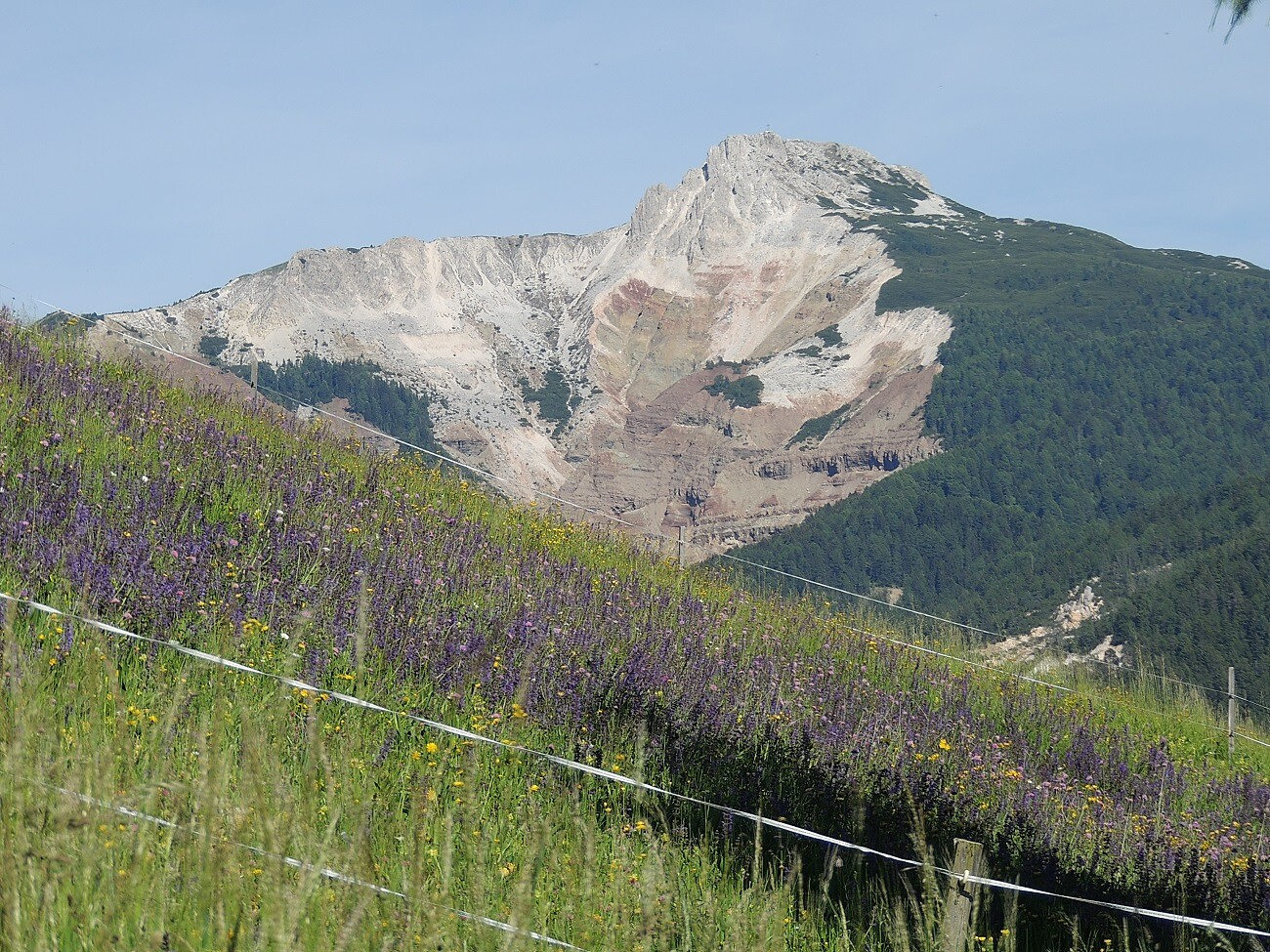 Corno Bianco