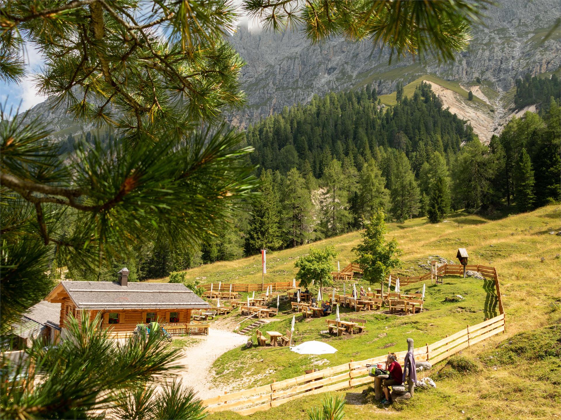 Panoramatour zur Haniger Schwaige Welschnofen 1 suedtirol.info