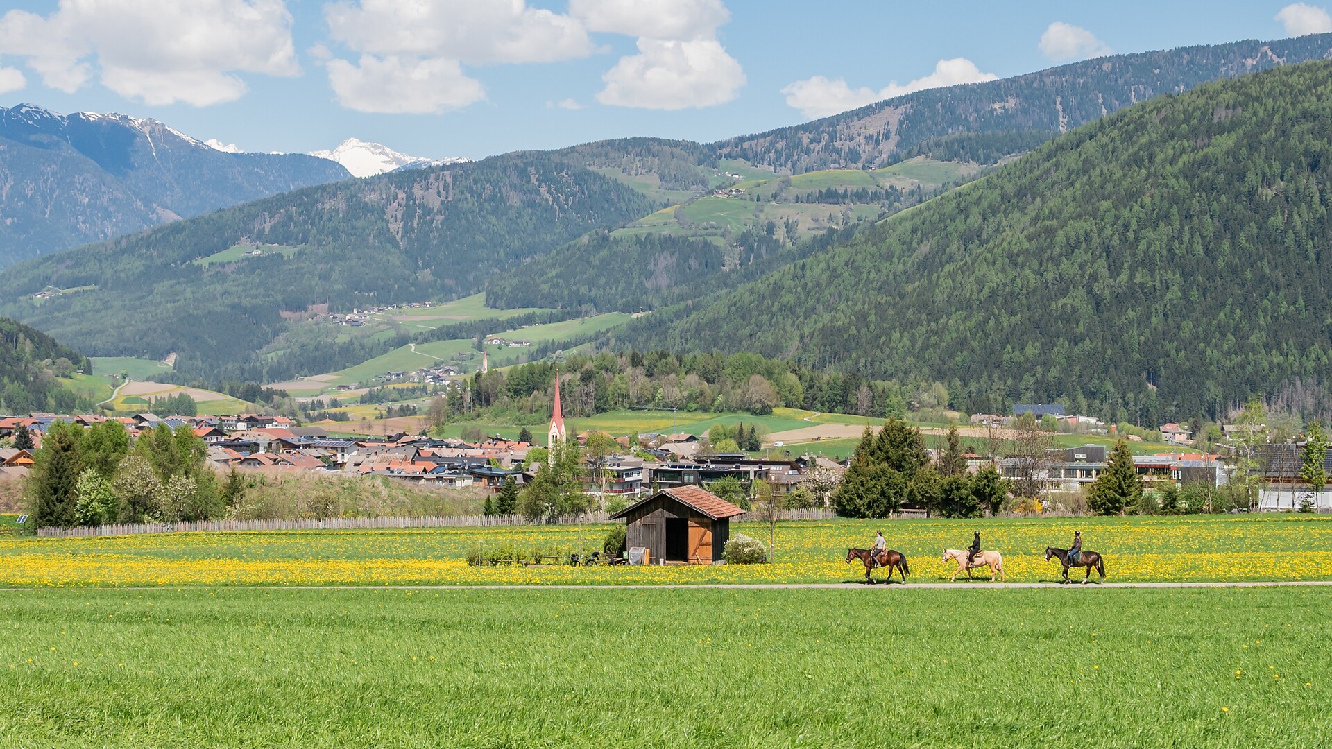 Panoramic trail - Dolomites Region Kronplatz/Plan de Corones - #1 - suedtirol.info