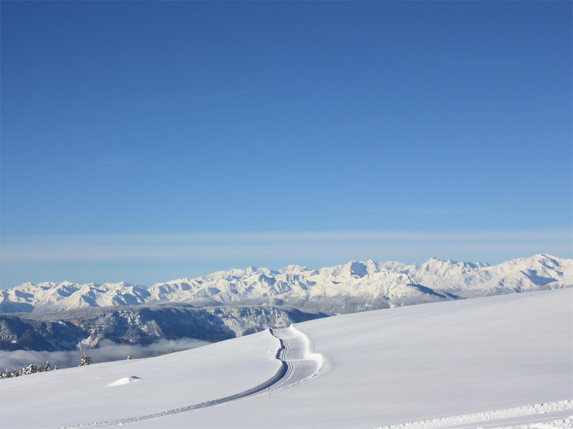 Panorama-Rundloipe "Schönalm" Ritten 1 suedtirol.info