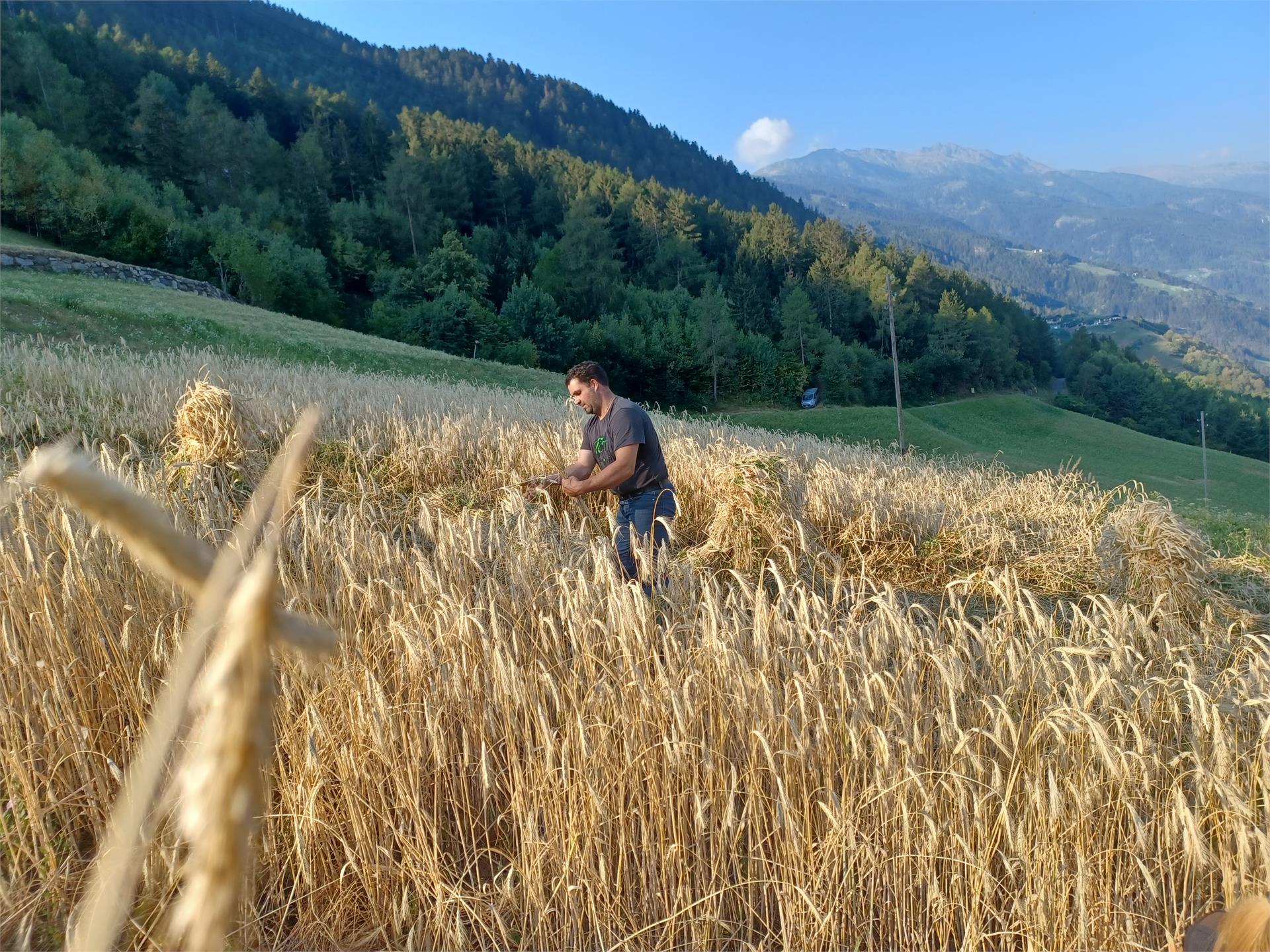 Sentiero dei masi di Quadrato Parcines 8 suedtirol.info