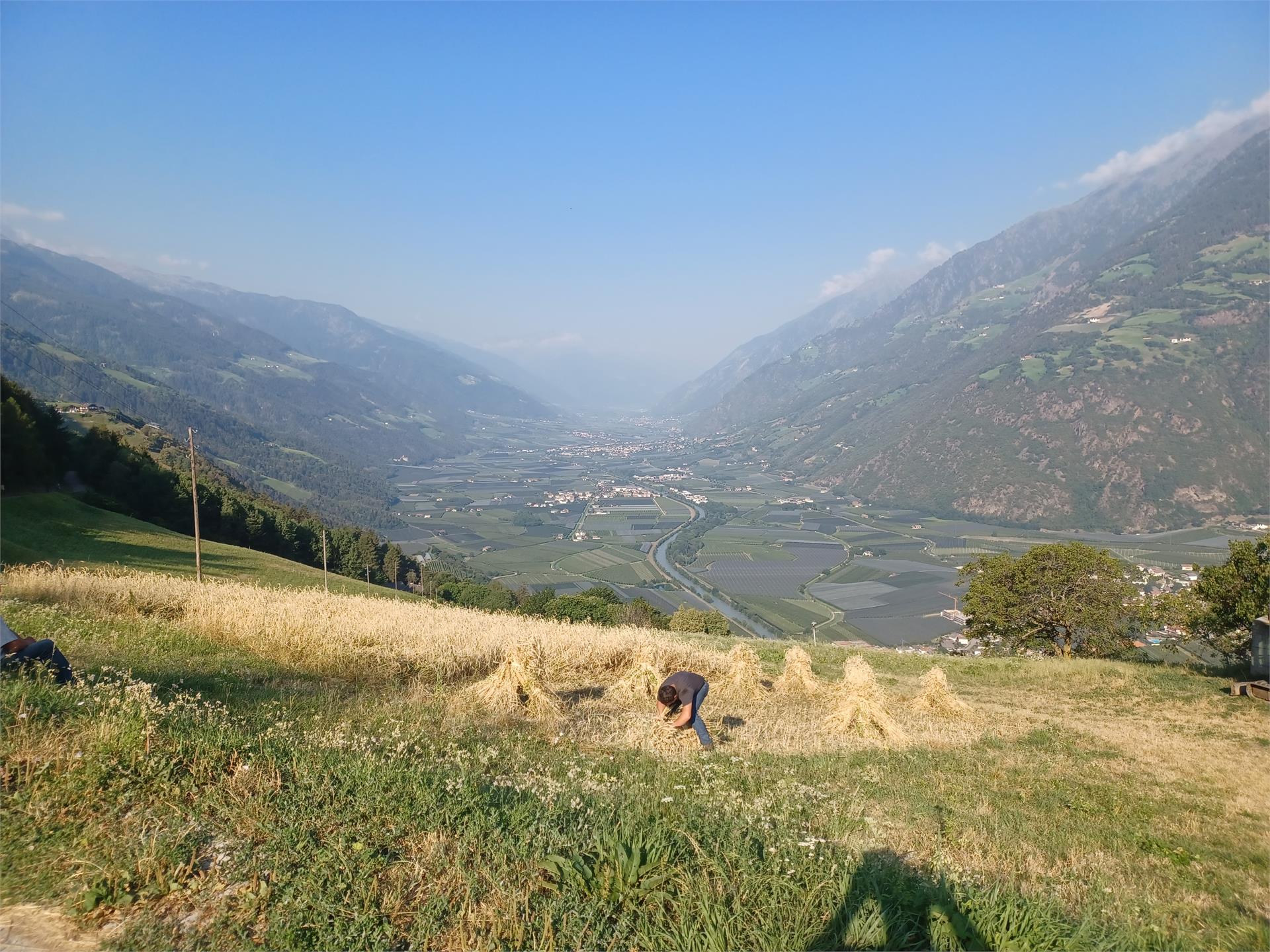 Sentiero dei masi di Quadrato Parcines 9 suedtirol.info