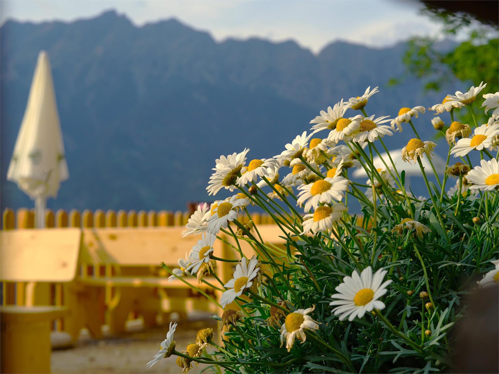 Sentiero dei masi di Quadrato Parcines 7 suedtirol.info