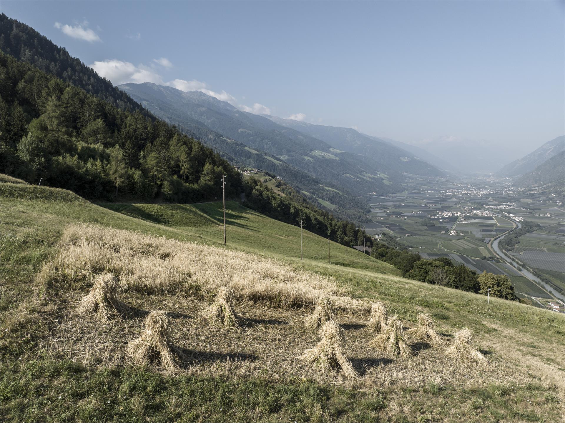 Sentiero dei masi di Quadrato Parcines 2 suedtirol.info