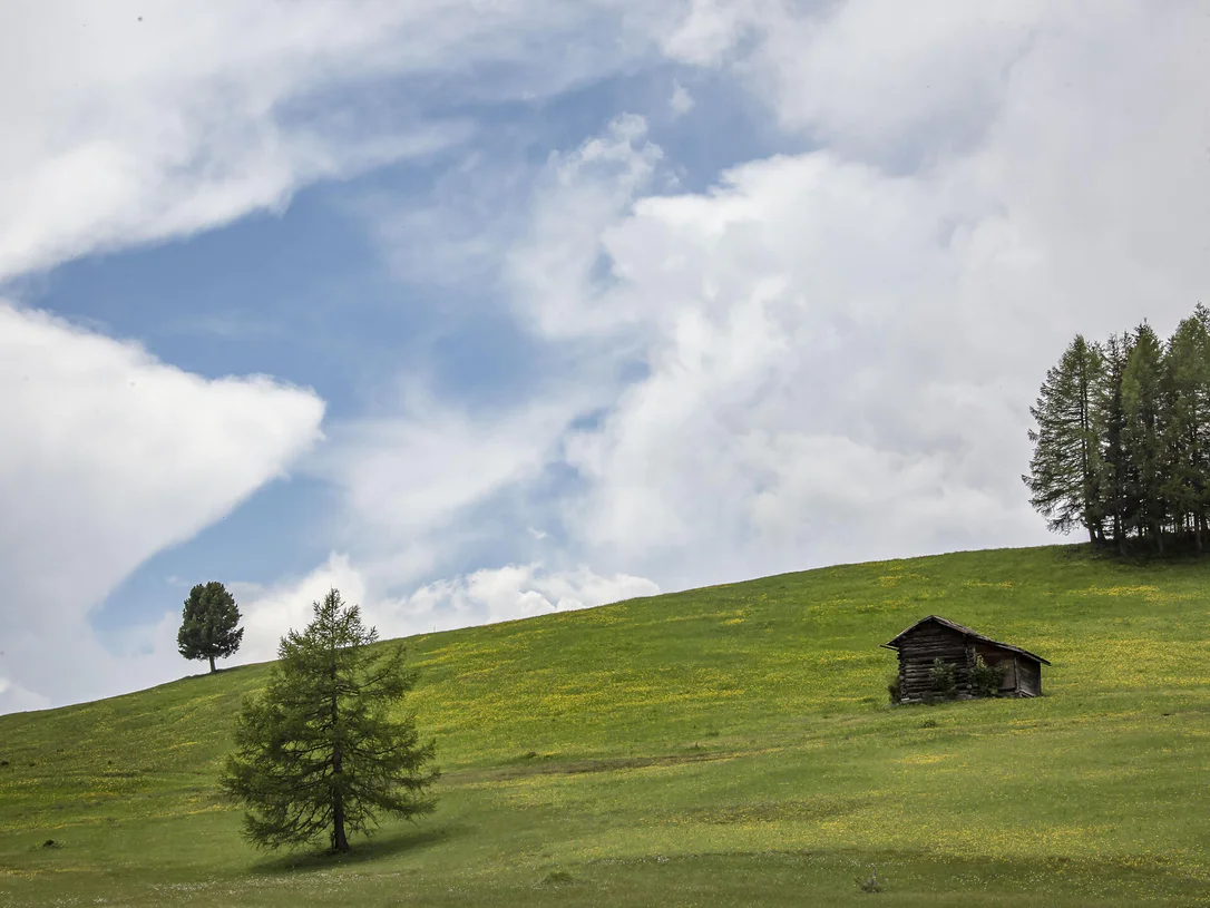 In bici da corsa al passo Furcia