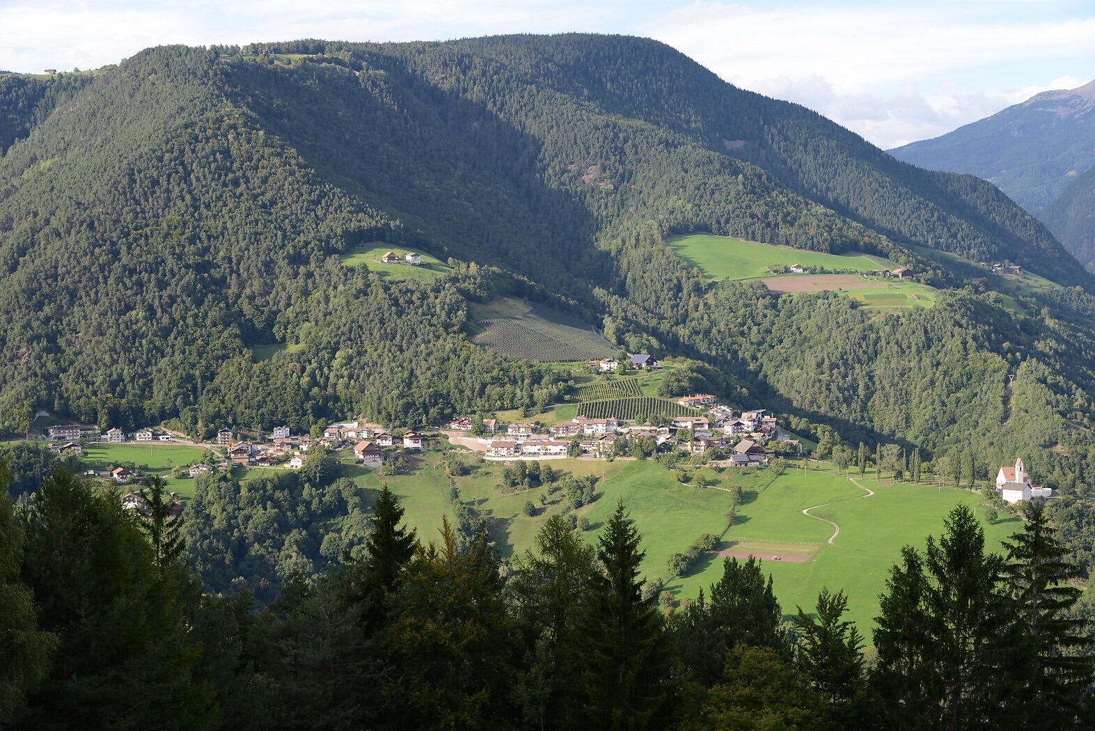 Sentiero circolare: San Genesio - Avigna San Genesio Atesino 1 suedtirol.info
