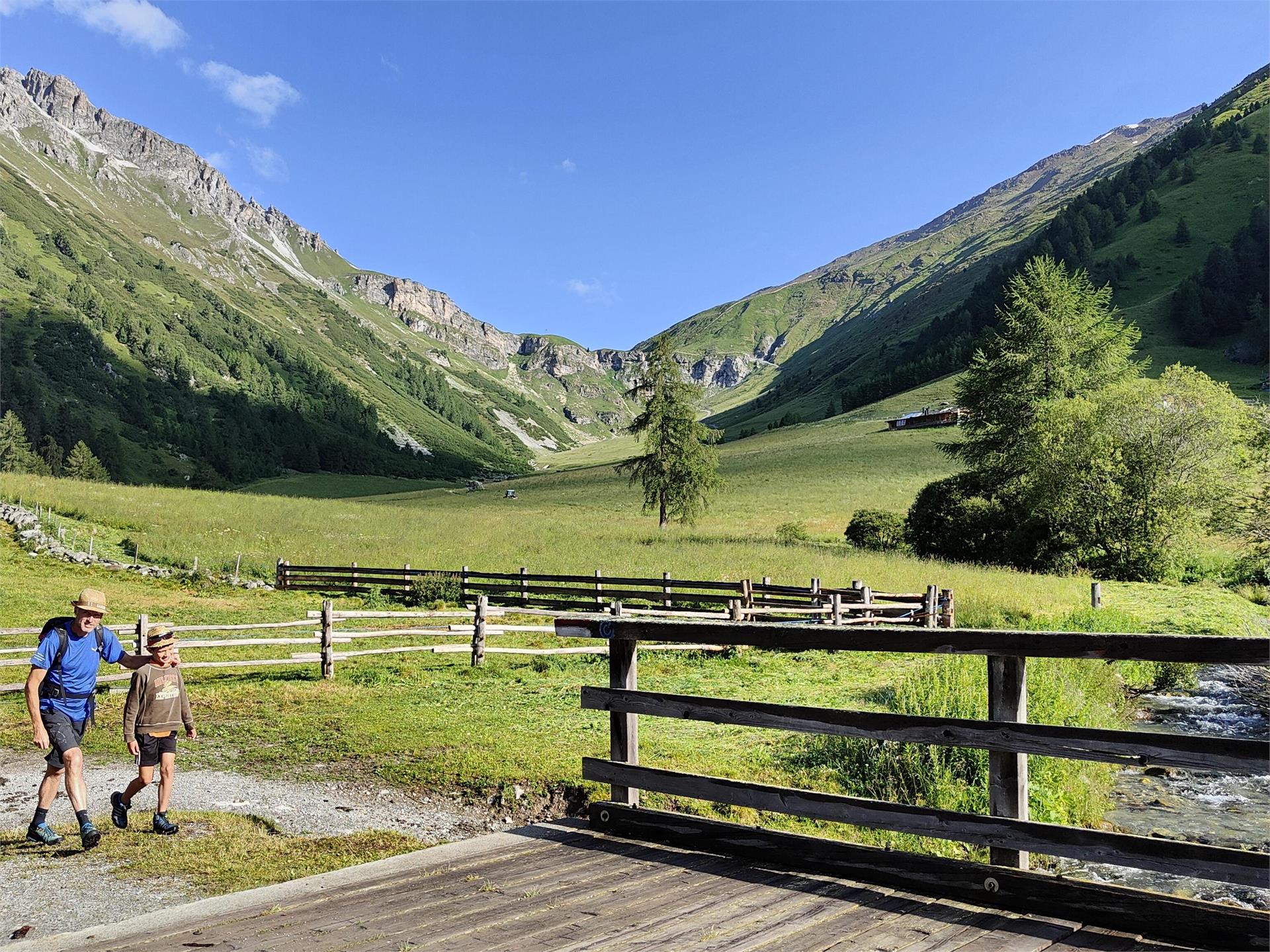 Tour panoramico delle malghe Malles 1 suedtirol.info