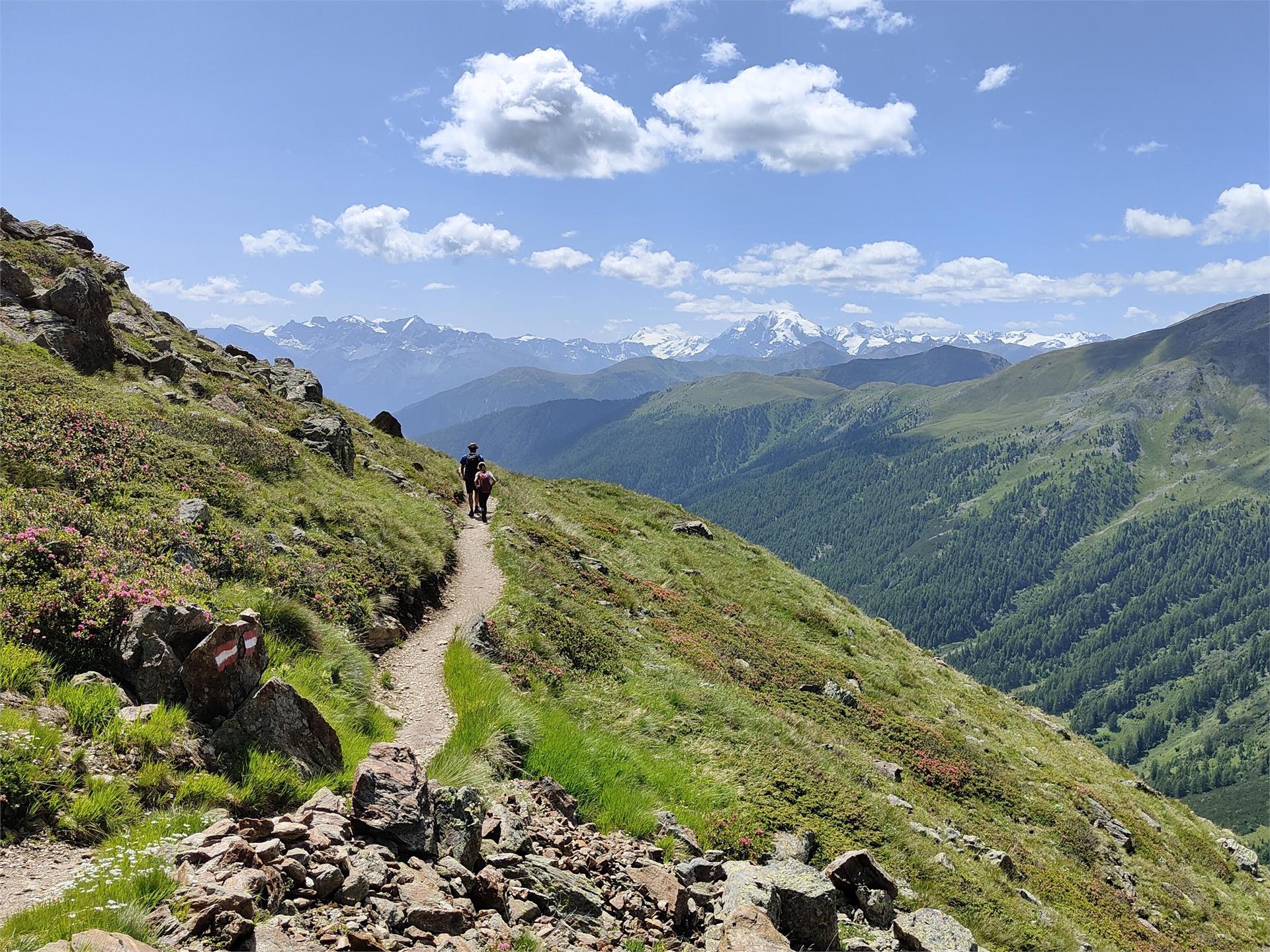 Tour panoramico delle malghe Malles 3 suedtirol.info