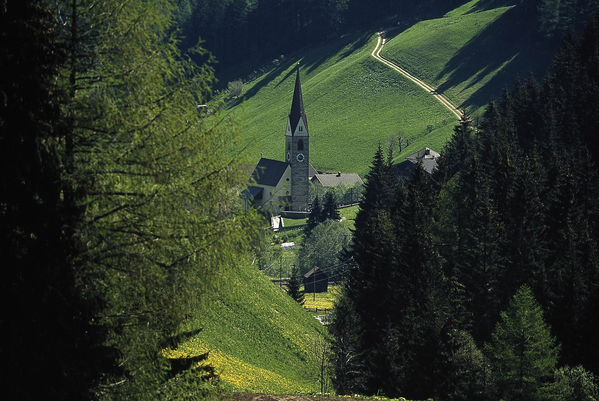 Walking in Mittertal - Sterzing/Vipiteno and environs - #1 - suedtirol.info