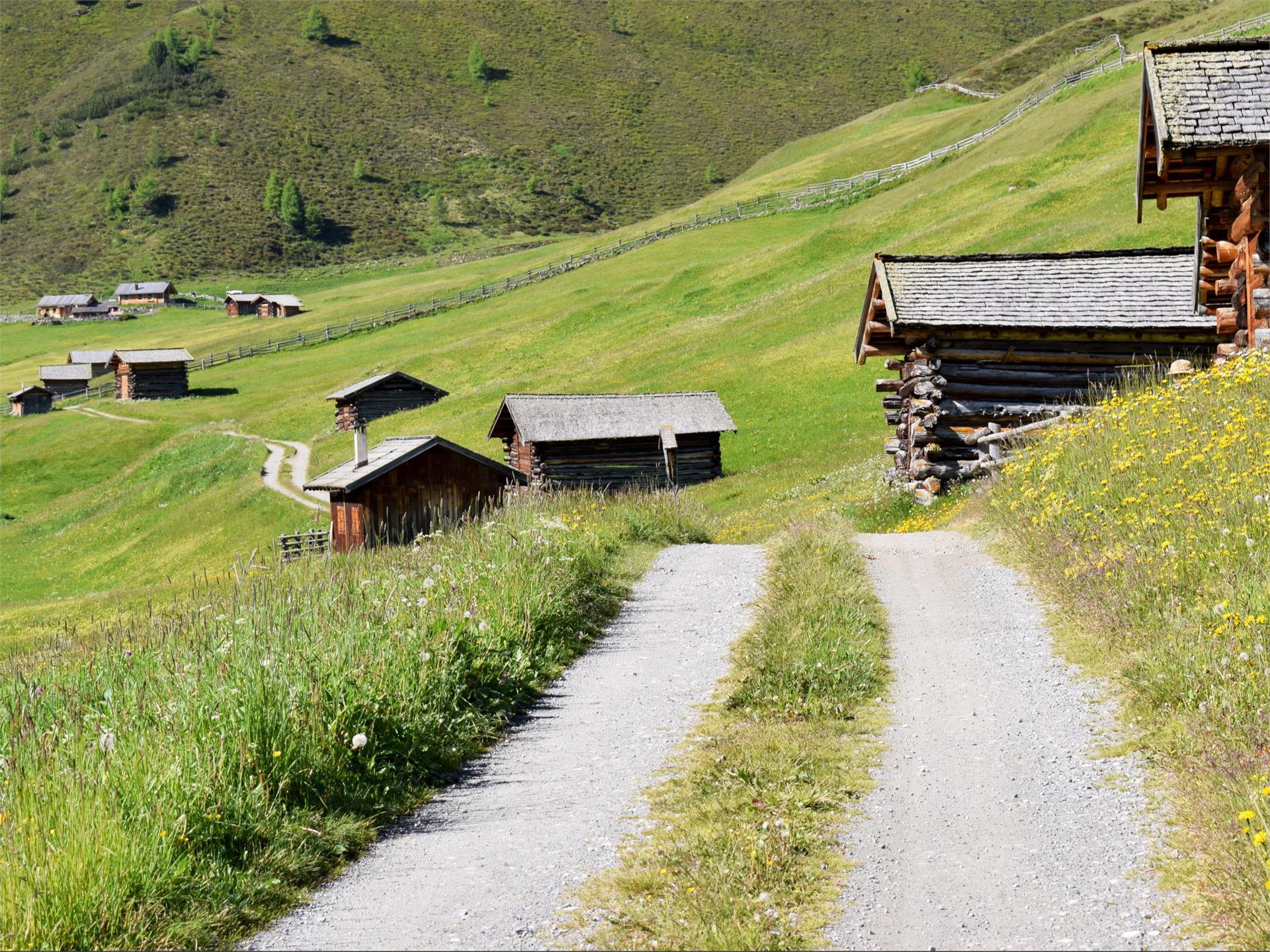 Rojental valley circular tour Graun im Vinschgau/Curon Venosta 1 suedtirol.info