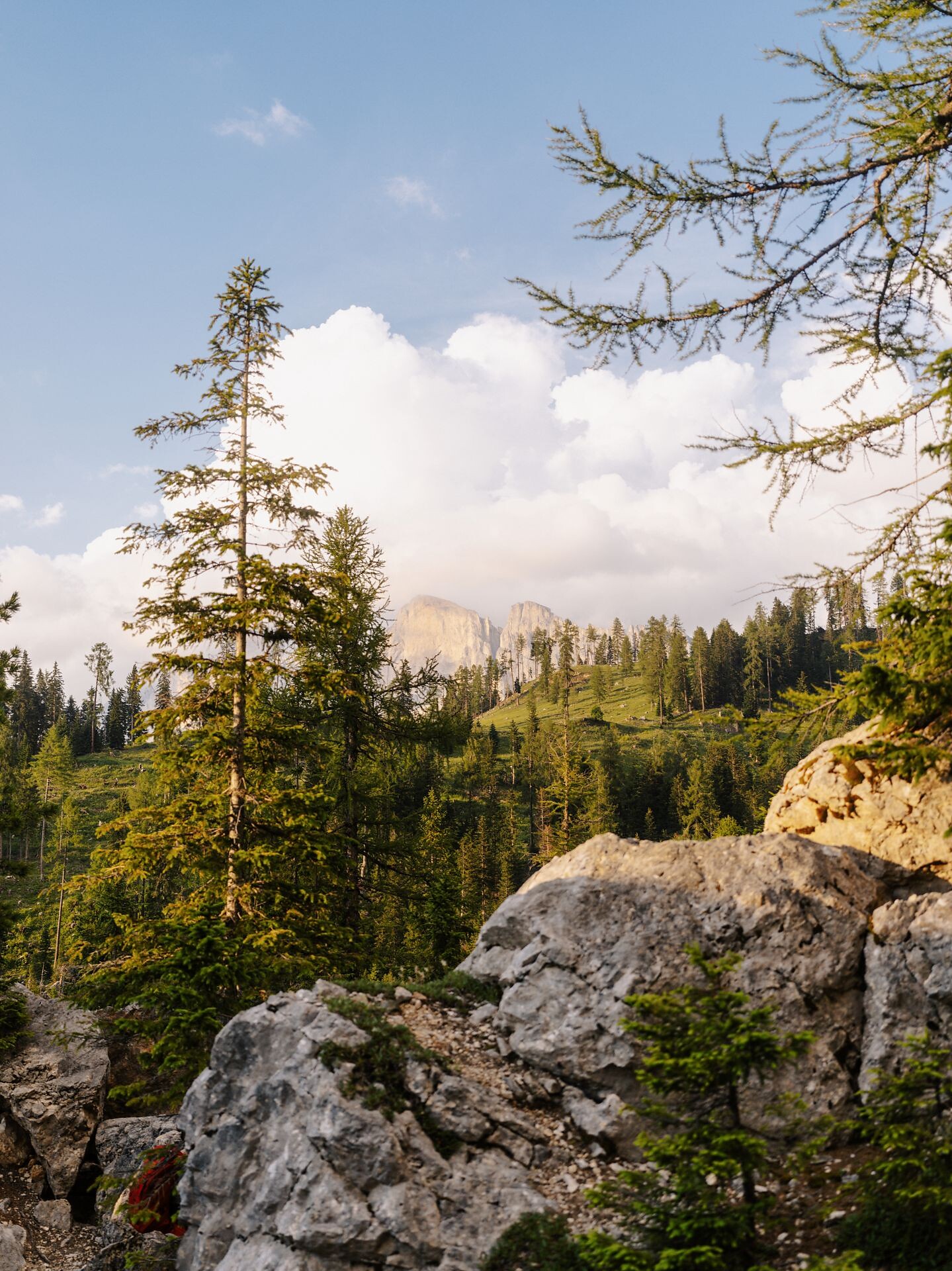 Rundwanderung vom Parkplatz Paolina ins Felslabyrinth des Latemar - Dolomitenregion Eggental - #7 - suedtirol.info