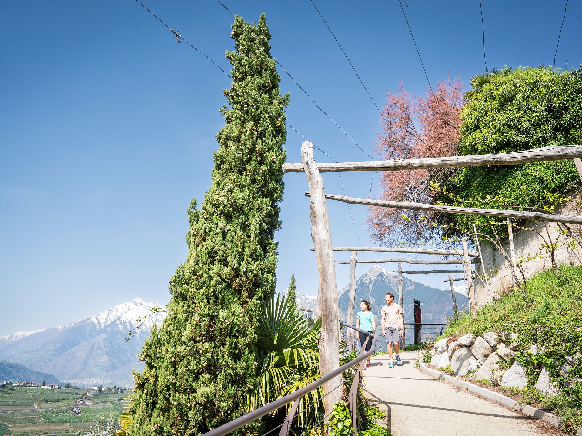 Mitterplattweg hiking path