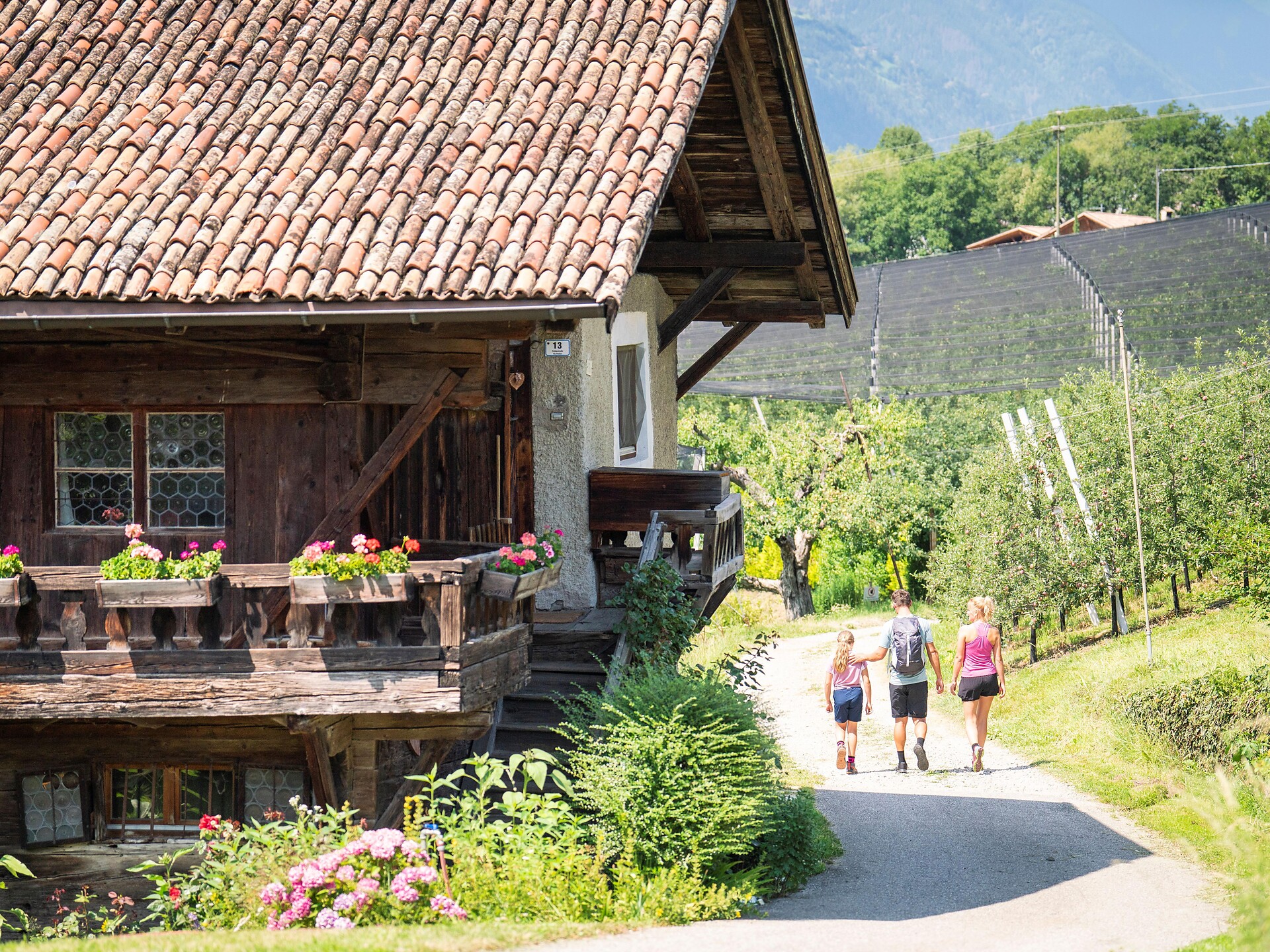 Wiesenweg hiking path