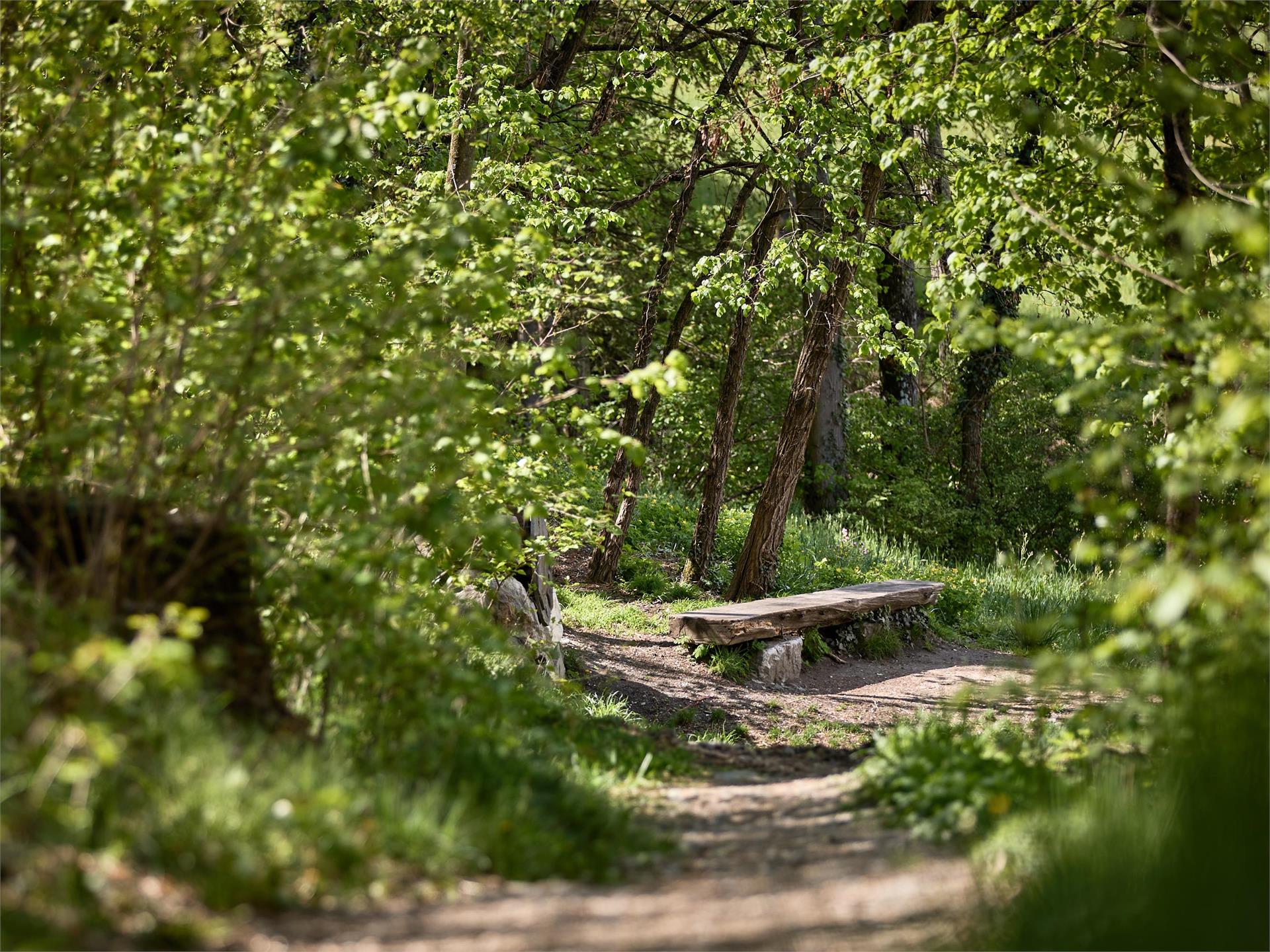 “Karlspromenade“ Circular Hiking Trail Brixen/Bressanone 3 suedtirol.info