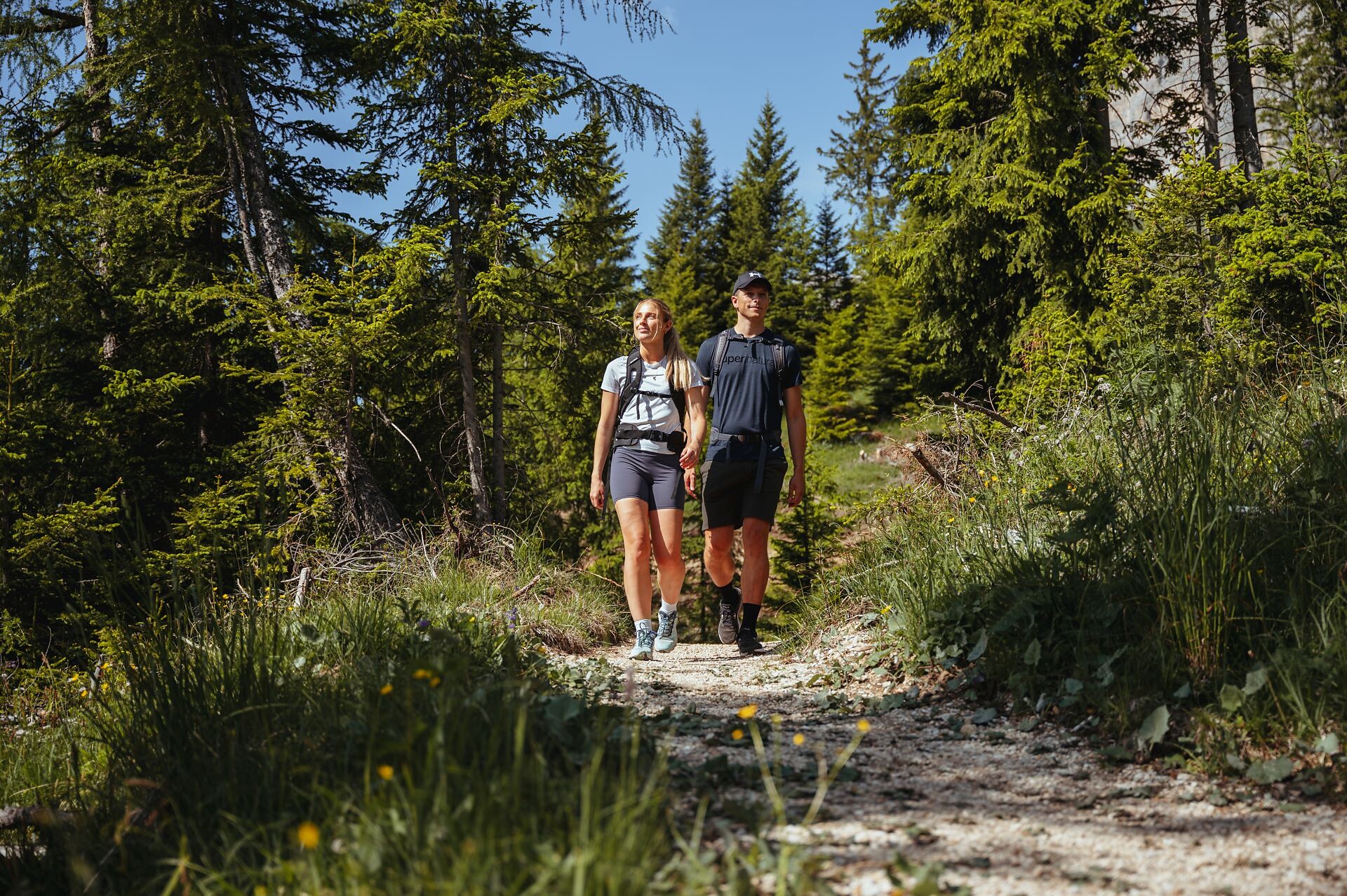 Circular Hike from Lake Carezza to Franzin Alm - Dolomites Region Eggental - #2 - suedtirol.info