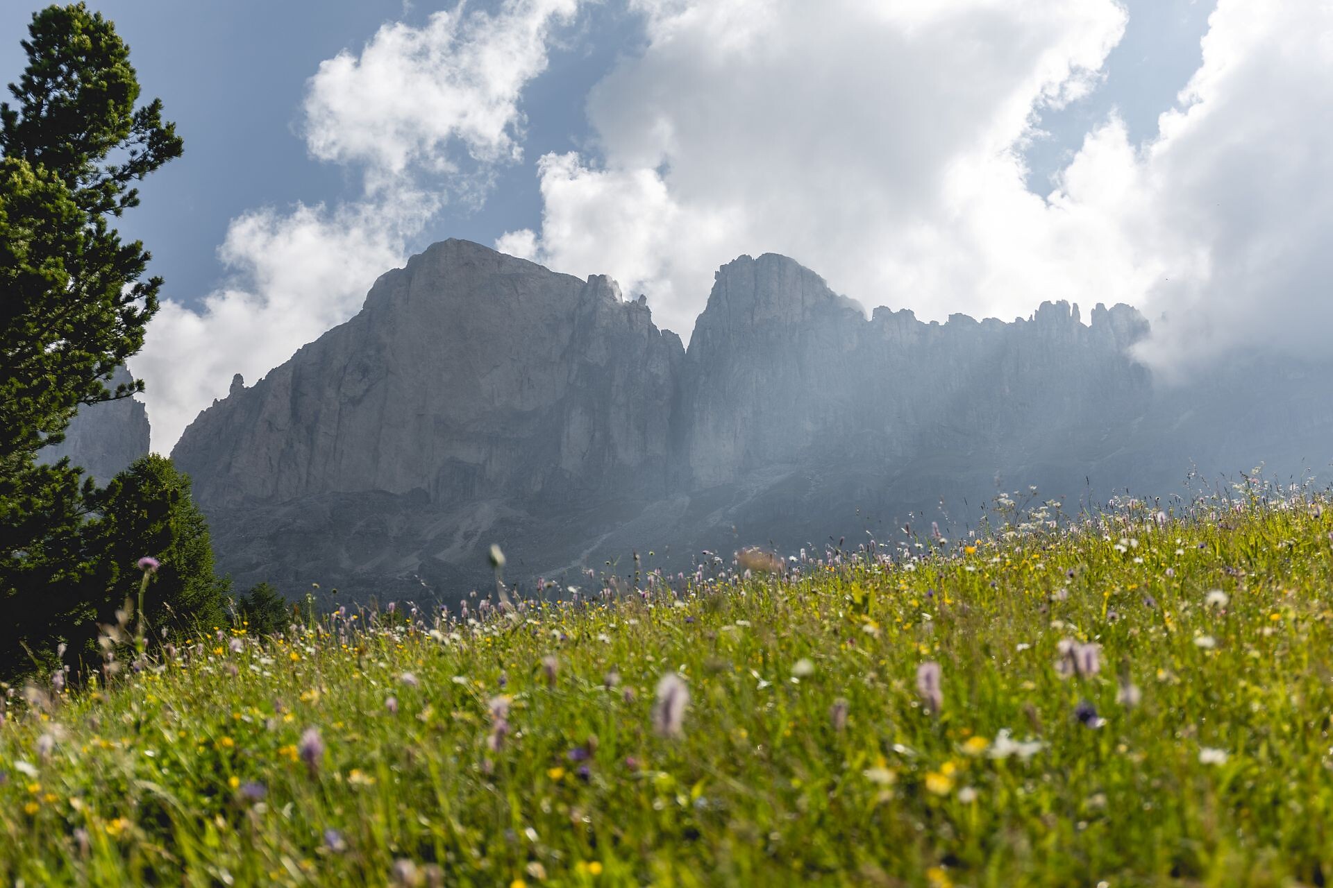 Circular Hike from Lake Carezza to Franzin Alm - Dolomites Region Eggental - #6 - suedtirol.info