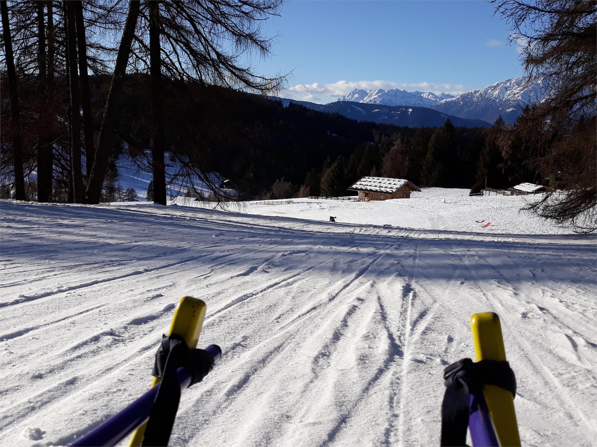 Rodelpiste Leadner Alm Vöran 3 suedtirol.info