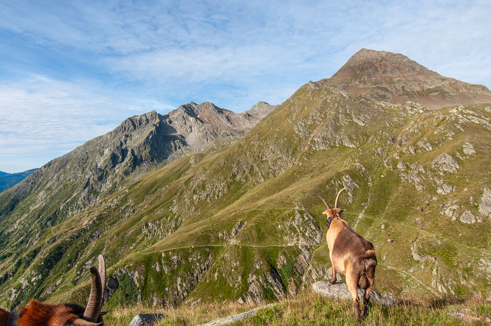 Summit Tour to Roteck / Monte Rosso (3,337 m) - Meran/Merano and environs - #6 - suedtirol.info