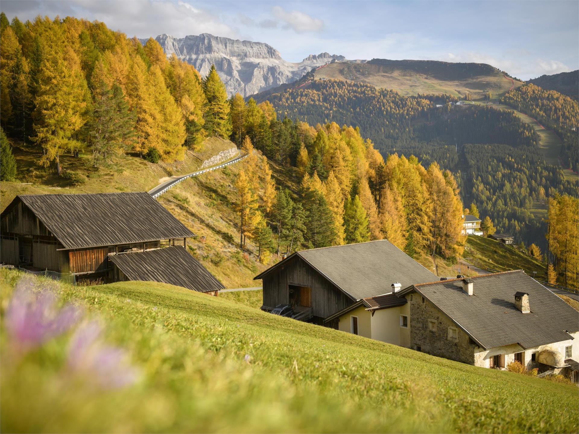 Percorso dei masi tradizionali Santa Cristina Val Gardena 3 suedtirol.info