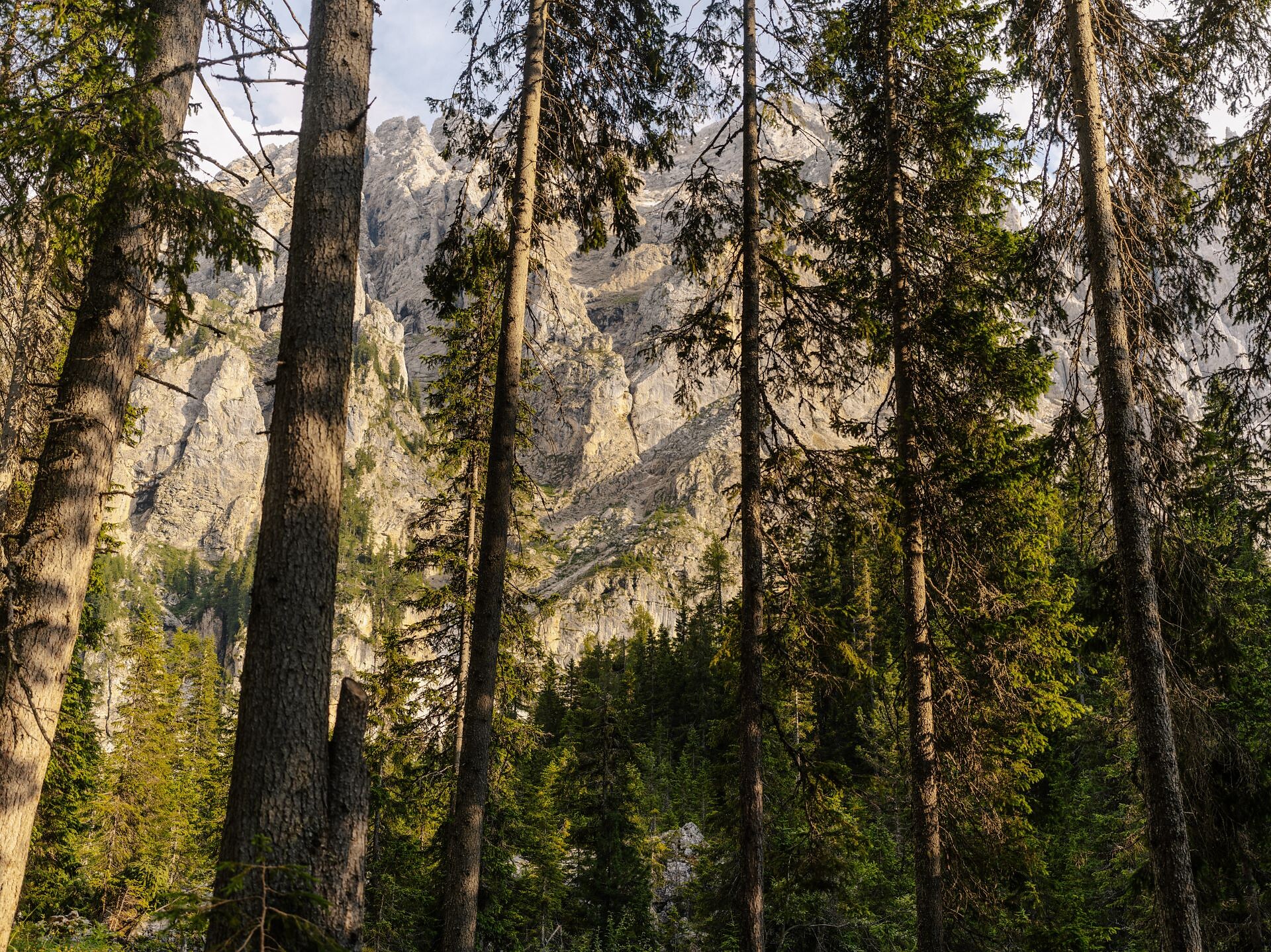 Escursione circolare dal Passo Costalunga al Labirinto e al cinema di montagna del Latemar  -  - #2 - suedtirol.info