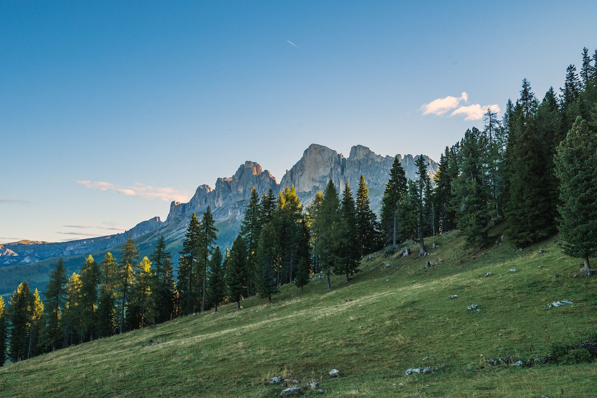 Escursione circolare dal Passo Costalunga al Labirinto e al cinema di montagna del Latemar  -  - #4 - suedtirol.info