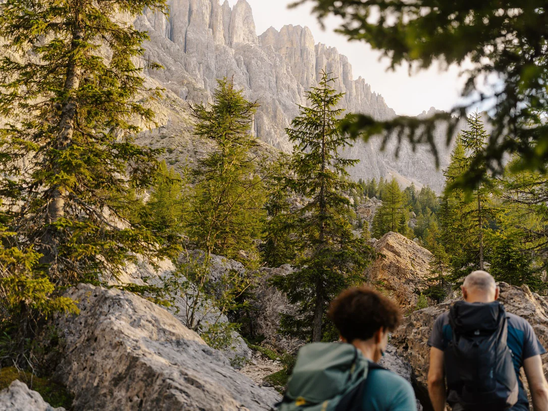Circular hike from the Passo Costalunga to the Latemar Labyrinth and mountain cinema