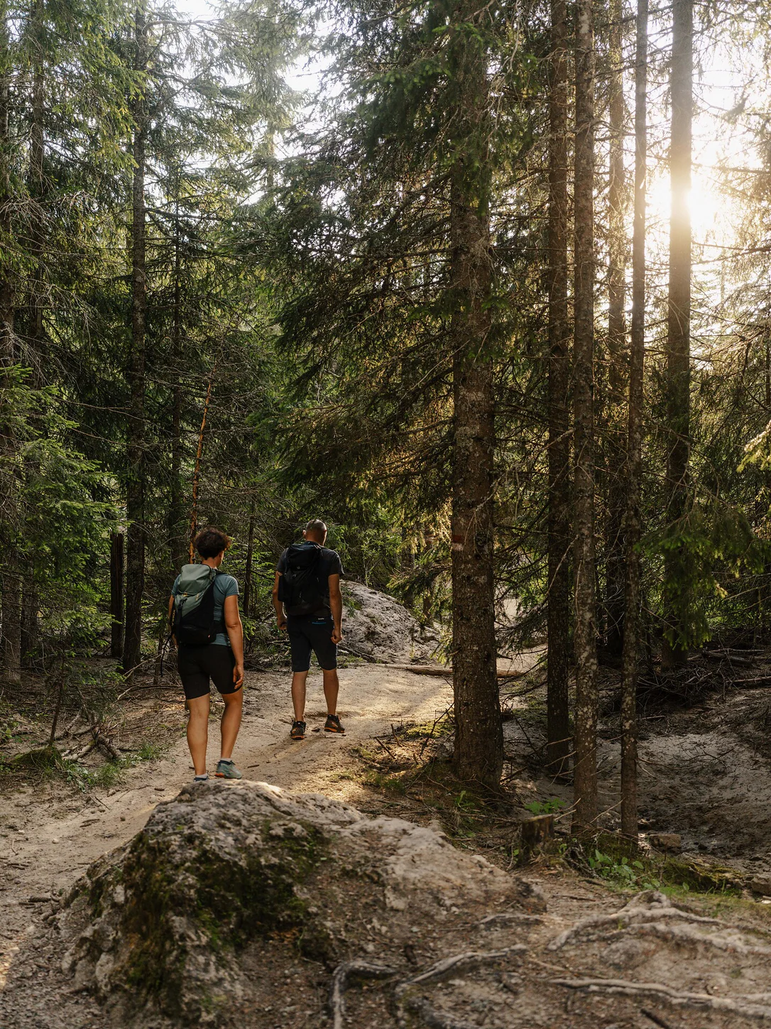Circular hike from the Passo Costalunga to the Latemar Labyrinth