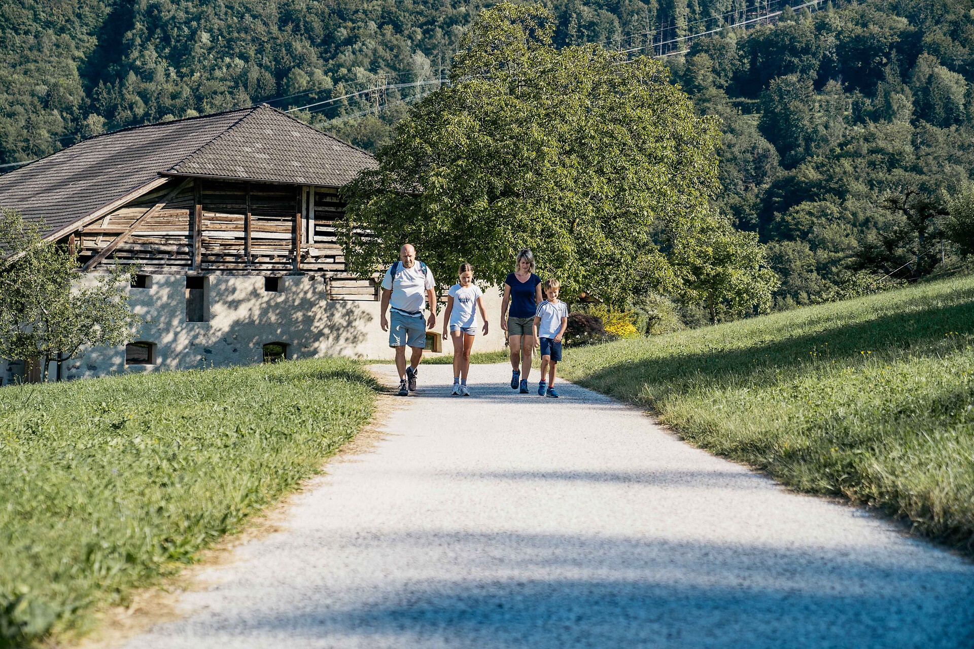 Farm in Salurn/Salorno