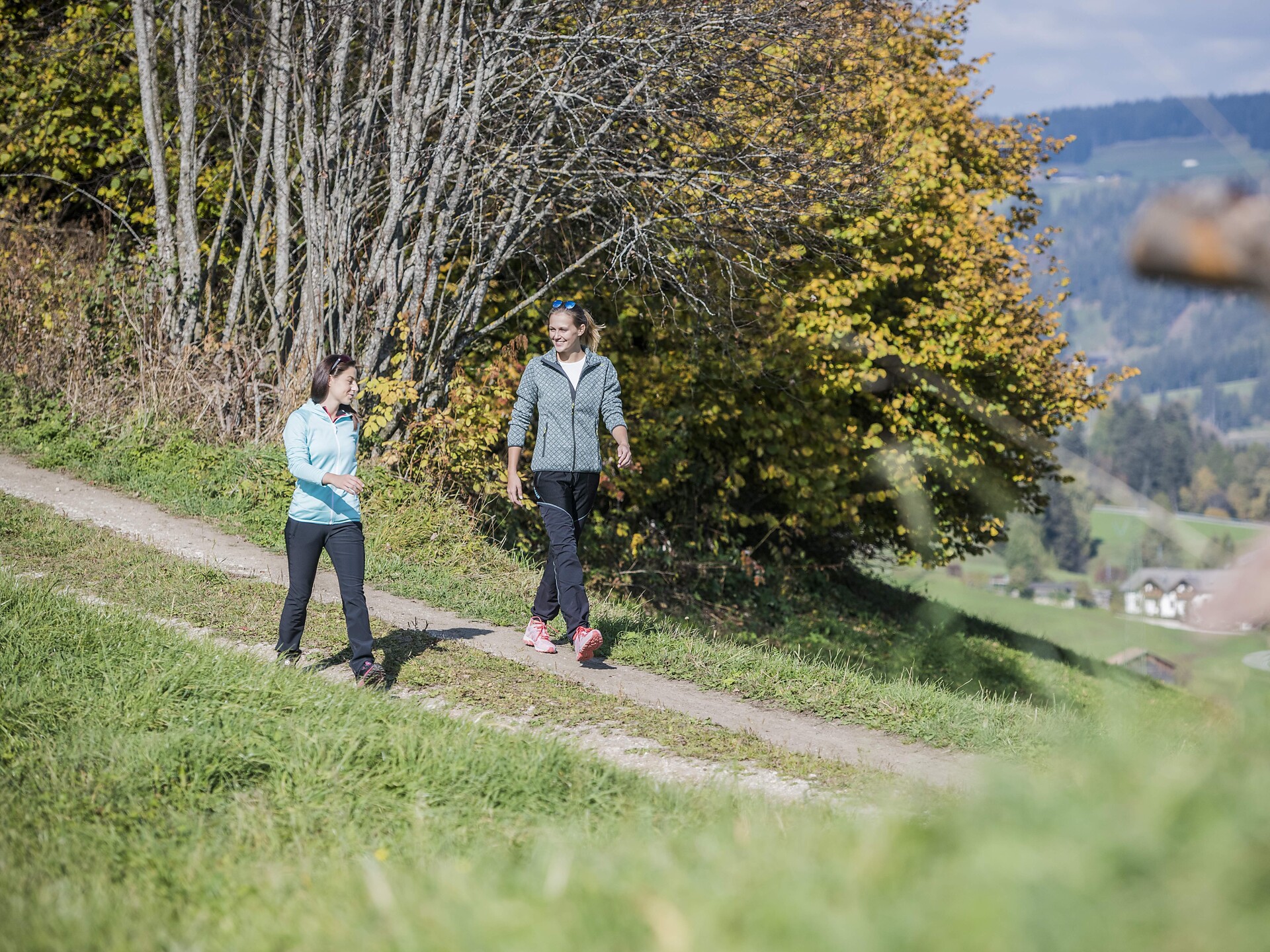 The Mill-Walk Goala at Monguelfo Welsberg-Taisten/Monguelfo-Tesido 1 suedtirol.info