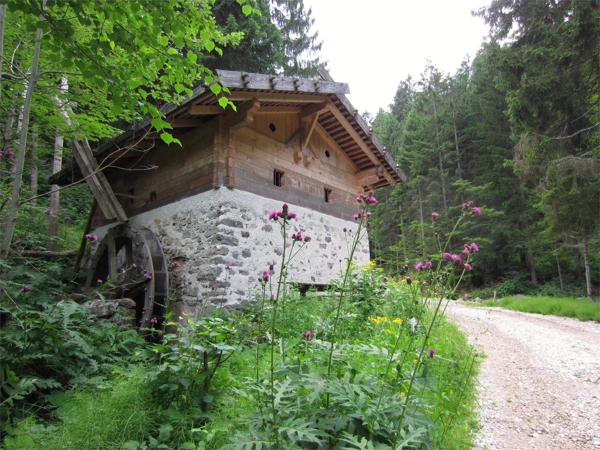 Circular Hike via Mühlenweg to Caprile/Gfrill Tisens/Tesimo 2 suedtirol.info