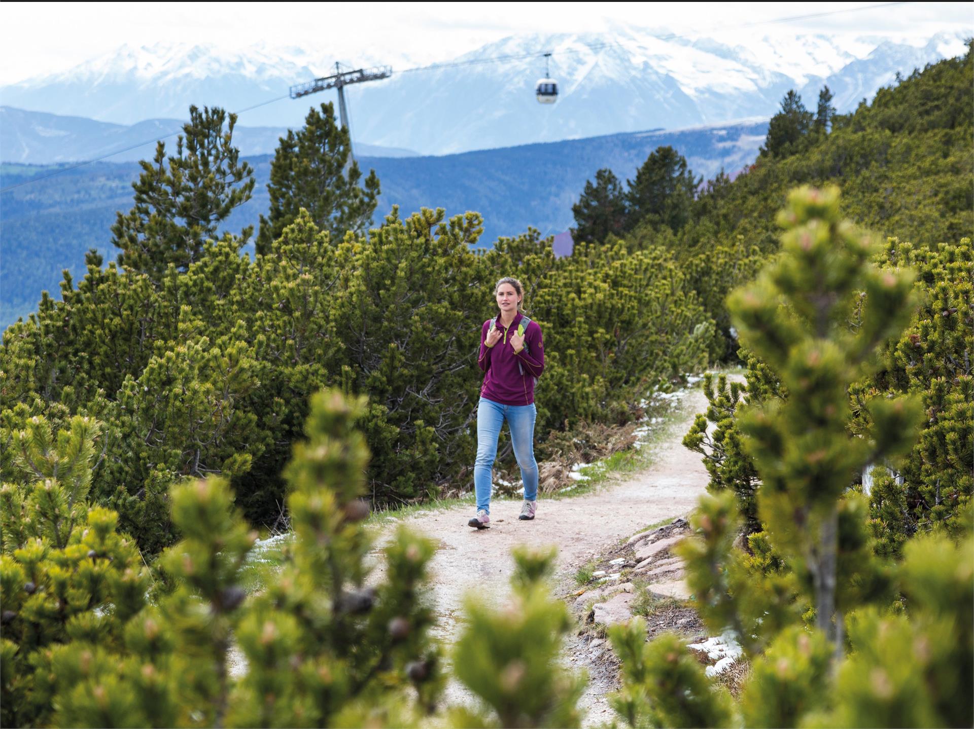 Ritten: Von Oberbozen bis zum Rittner Horn Ritten 1 suedtirol.info