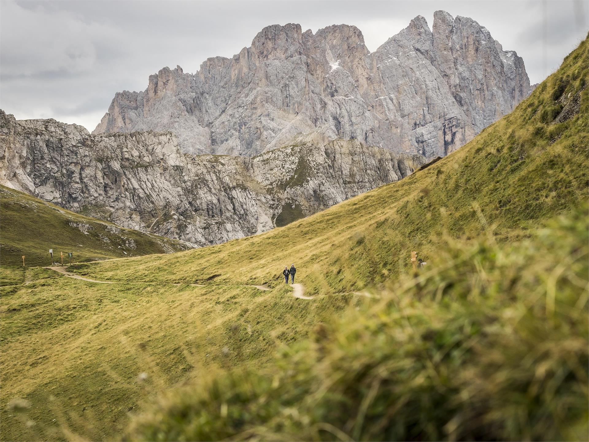 Peitlerkofel hiking circuit Brixen/Bressanone 1 suedtirol.info
