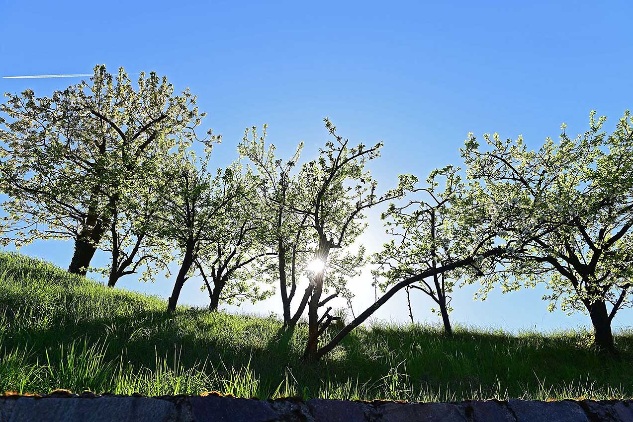 Einzigartige Landschaft