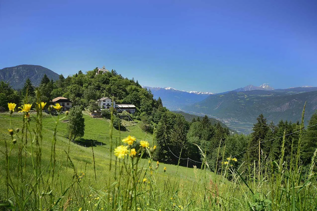 From Nalles to Prissiano via Sirmiano and Grissiano Nals/Nalles 5 suedtirol.info