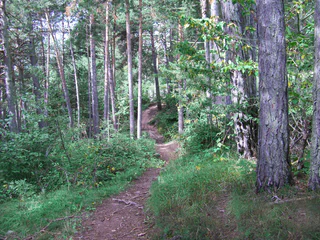 Simmlrundweg
