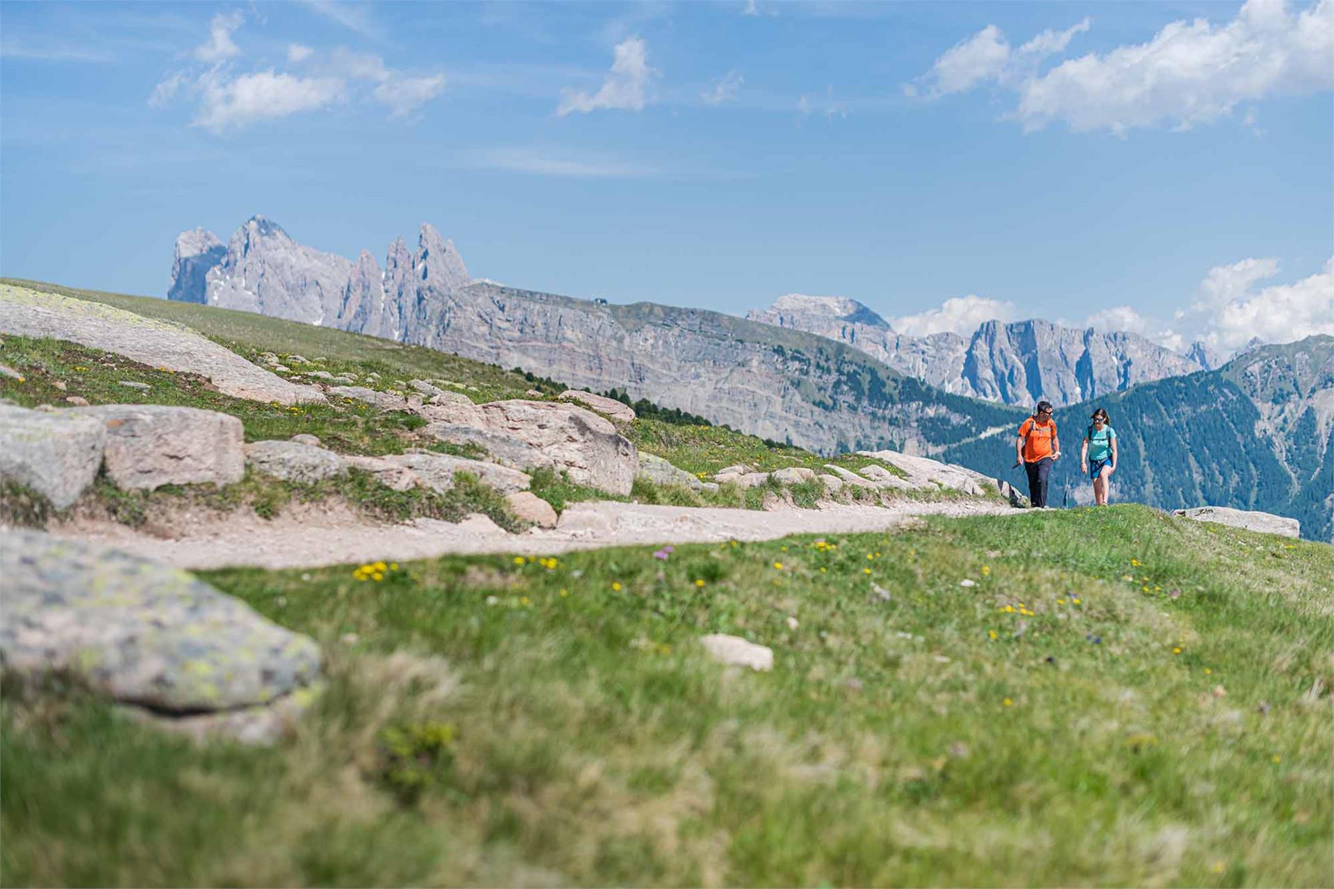 Rundwanderung auf Raschötz St.Ulrich 2 suedtirol.info