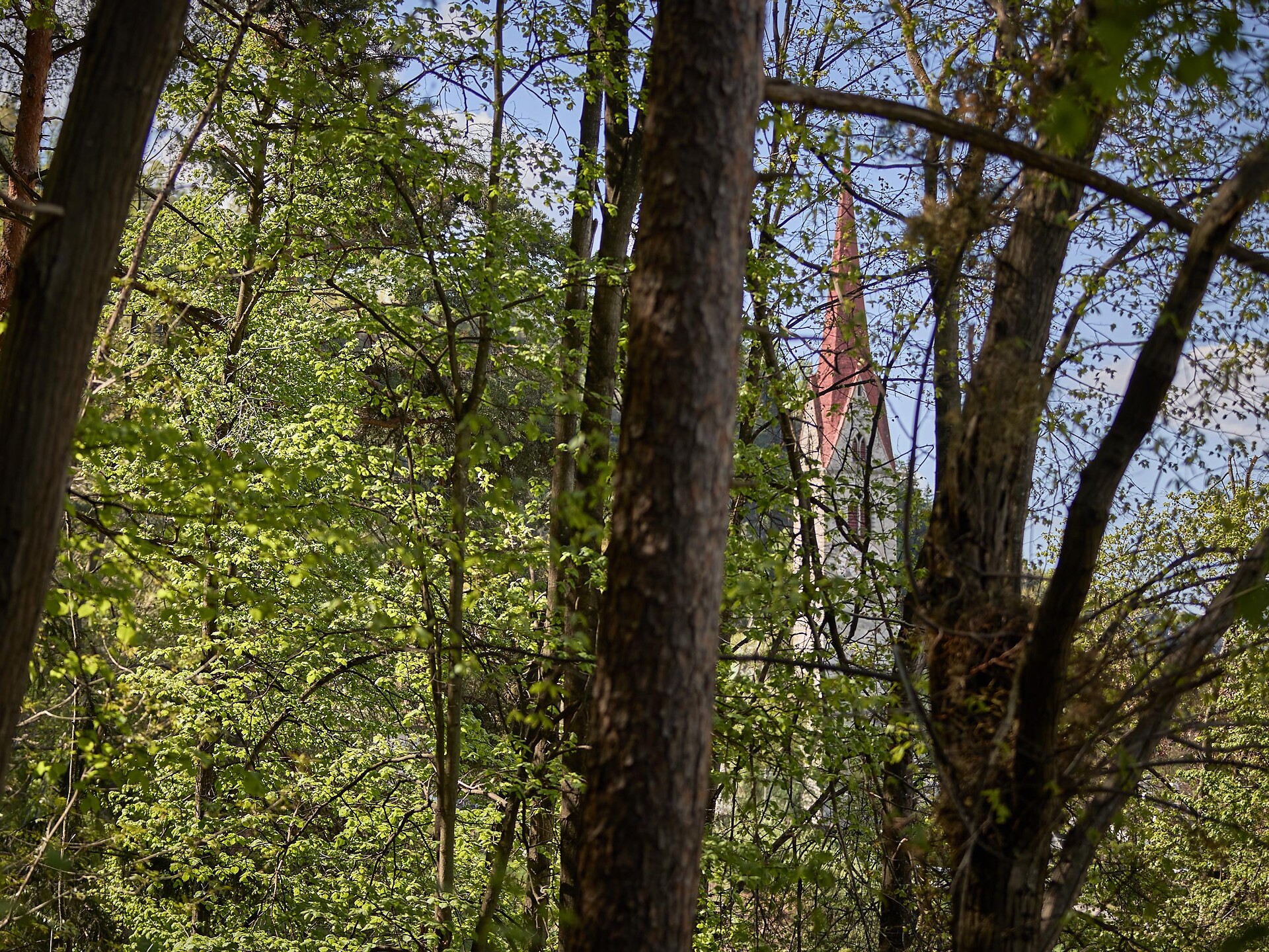 Hike Milland