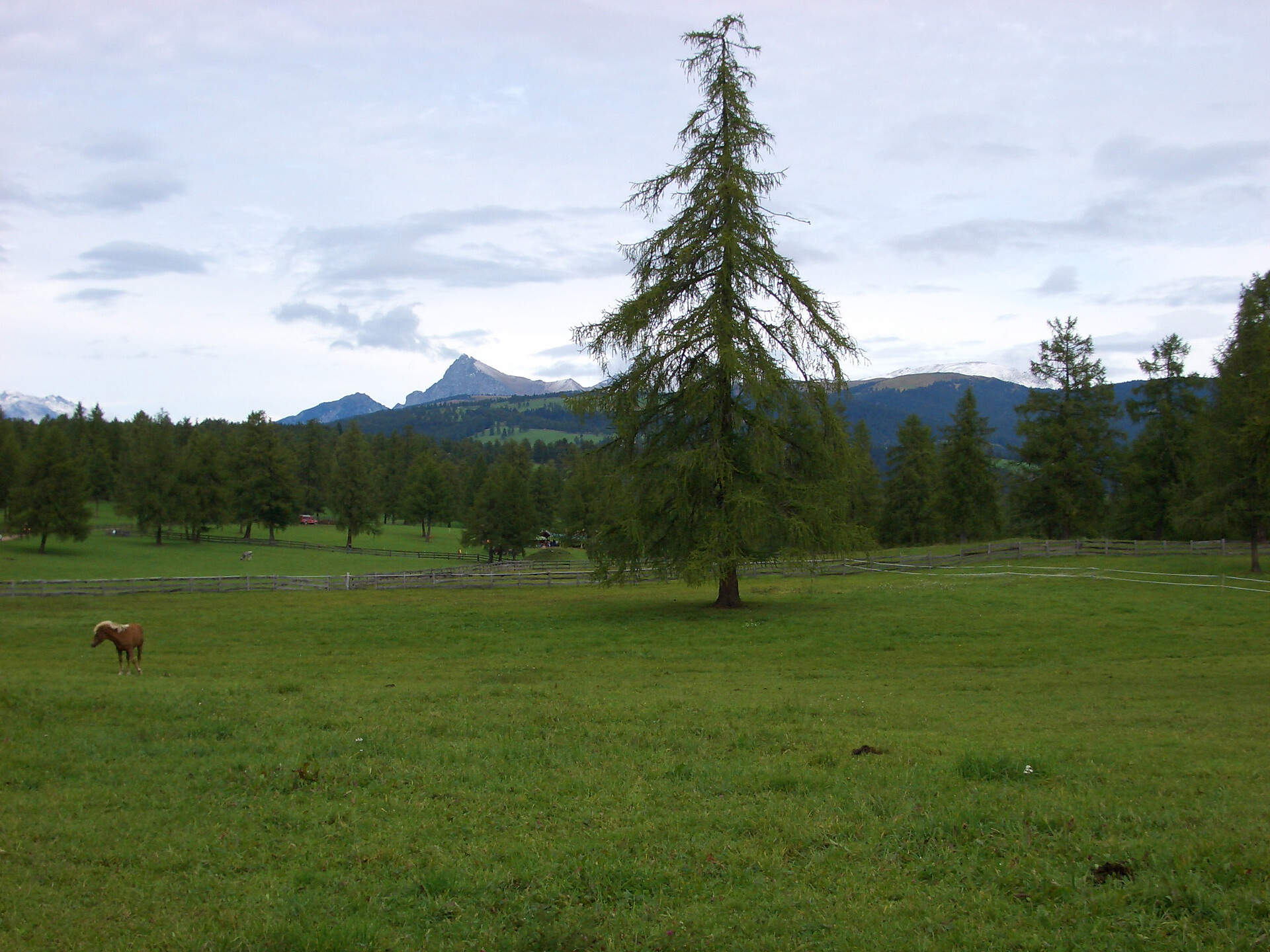 Round trail: Jenesien - Tschaufen - Salten Jenesien/San Genesio Atesino 3 suedtirol.info