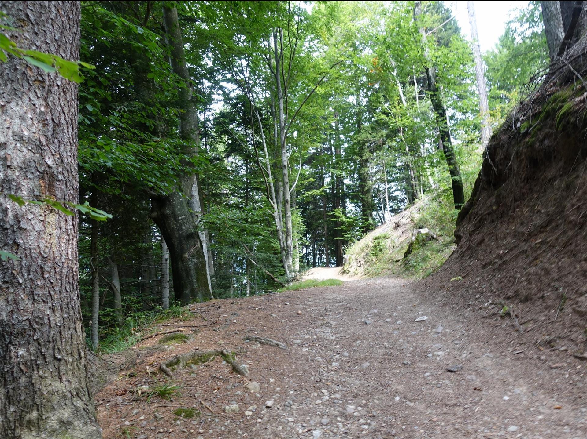 Percorso circolare fino a Grissiano e Sirmiano Tisens/Tesimo 4 suedtirol.info